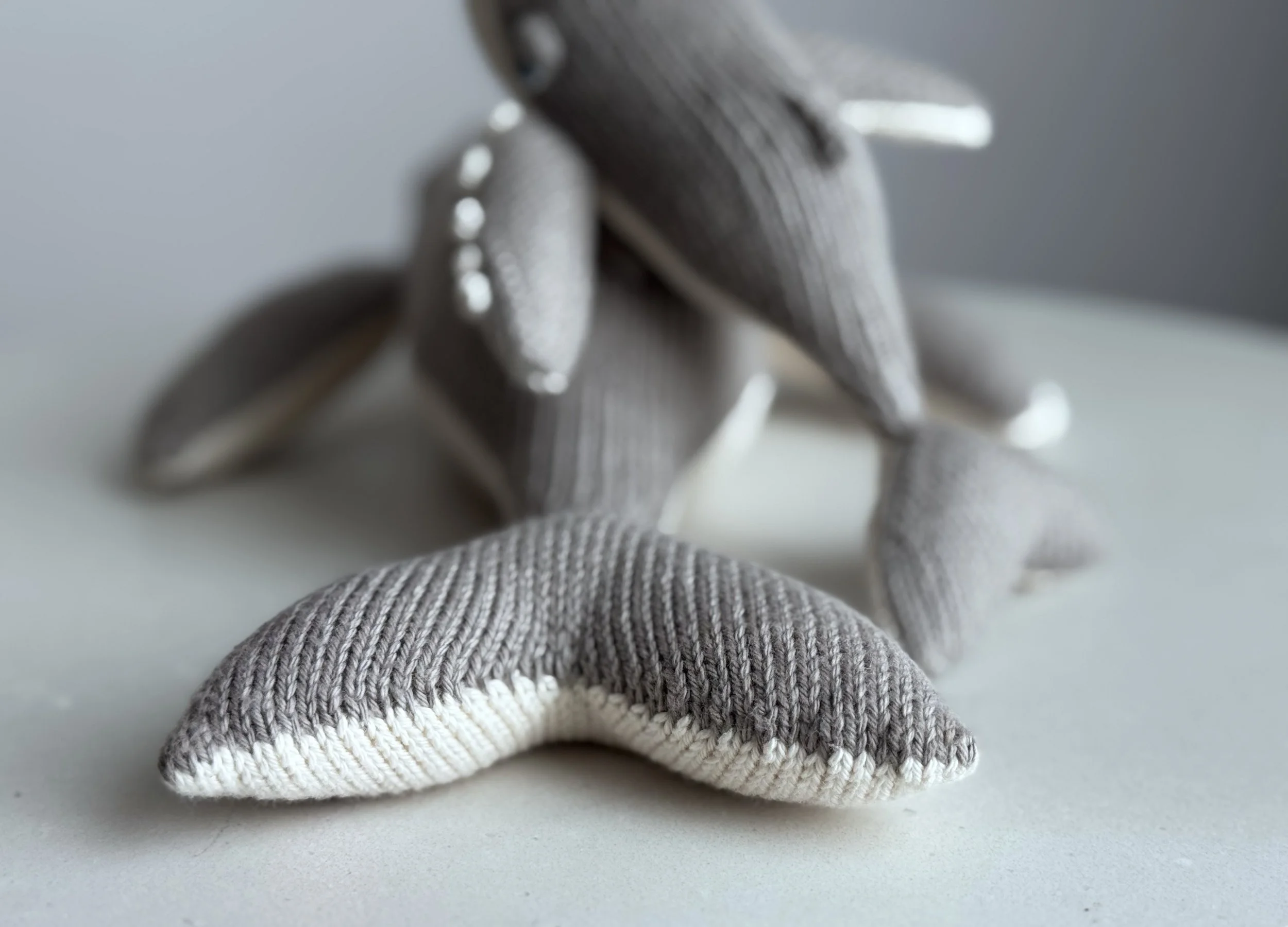 TAILS_IMG_6059.jpg