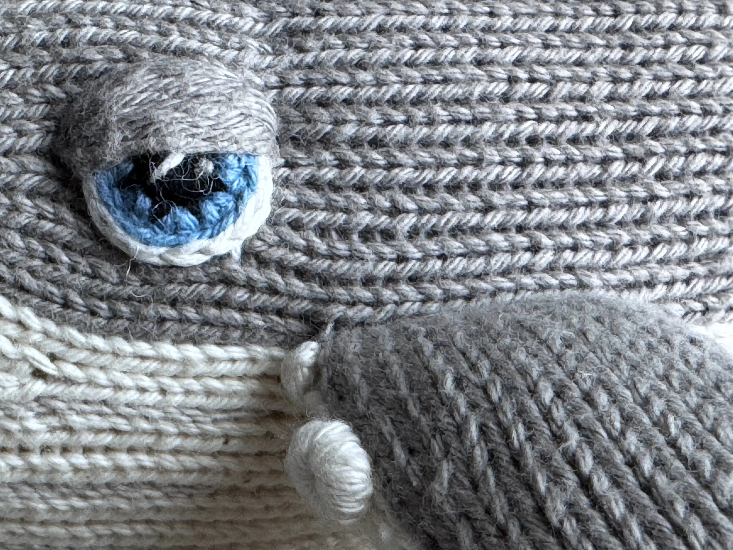 EYE_IMG_6076.jpg