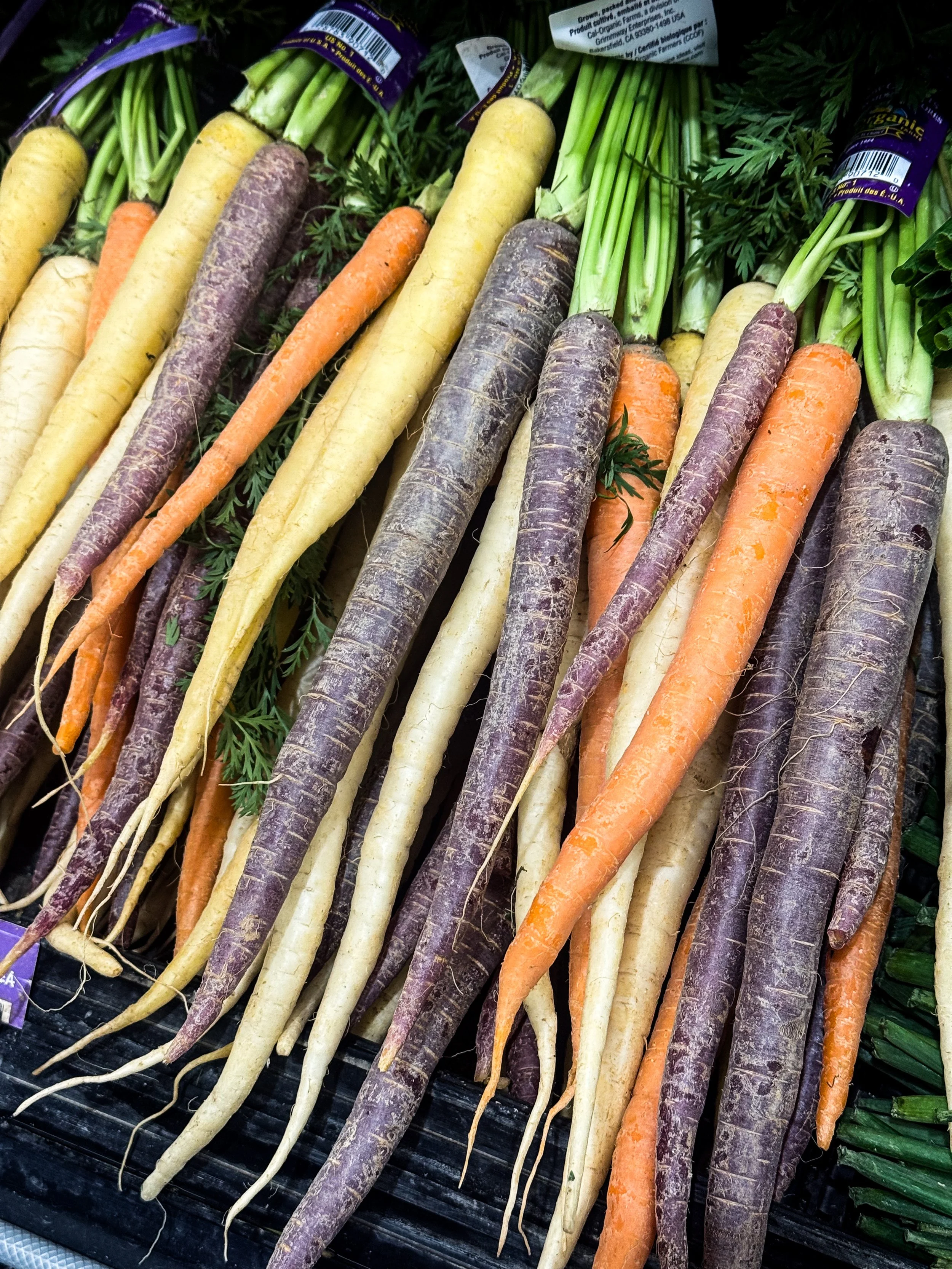 heirloom carrots on a stand