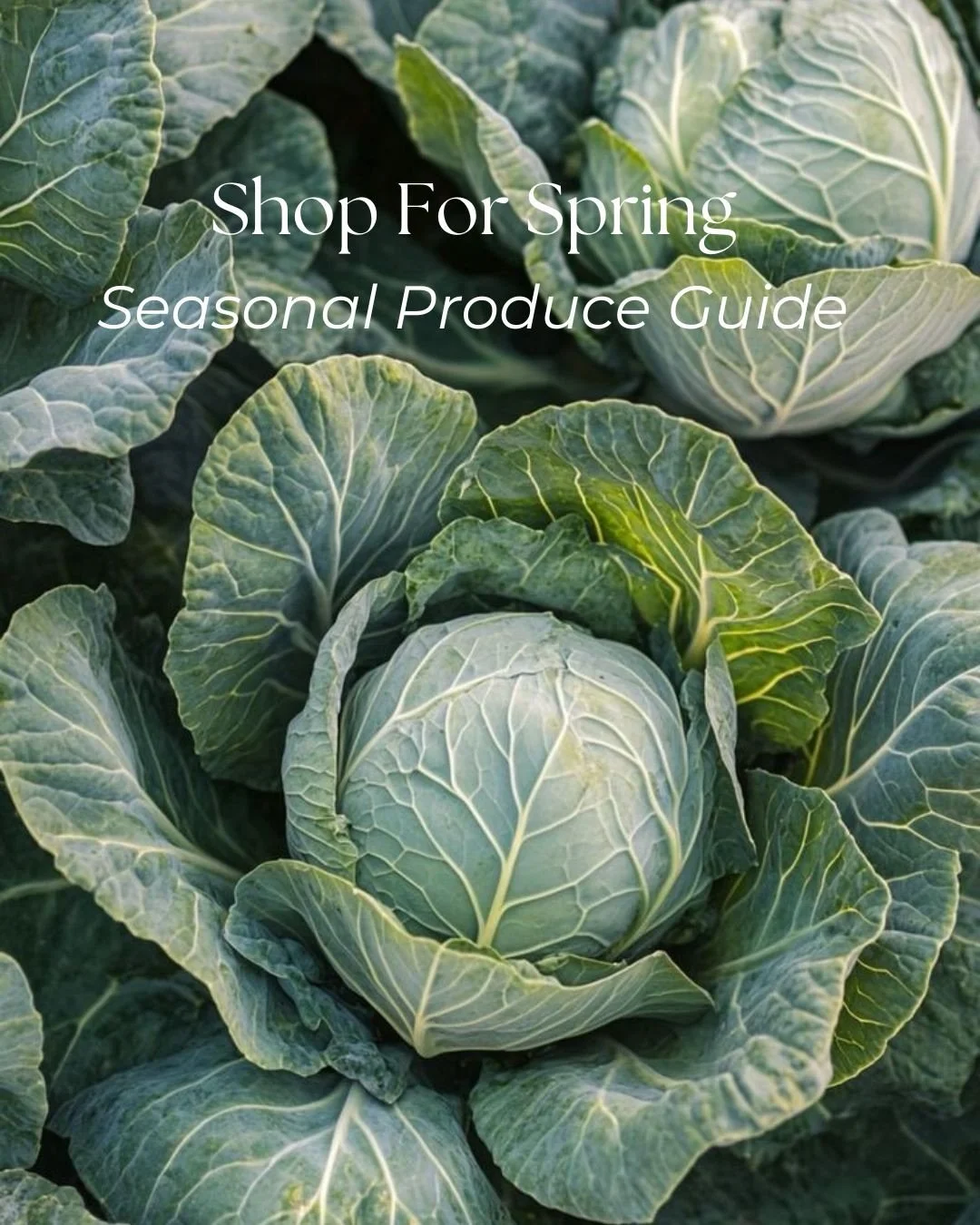 Eat seasonally with these spring superfoods 🥬🍓

Asparagus 
Supports liver detox &amp; digestion
High in prebiotic fiber &mdash;> feeds good gut bacteria
Natural Diuretic &mdash;> reduces water retention

Spinach 
Rich in magnesium &amp; iron
