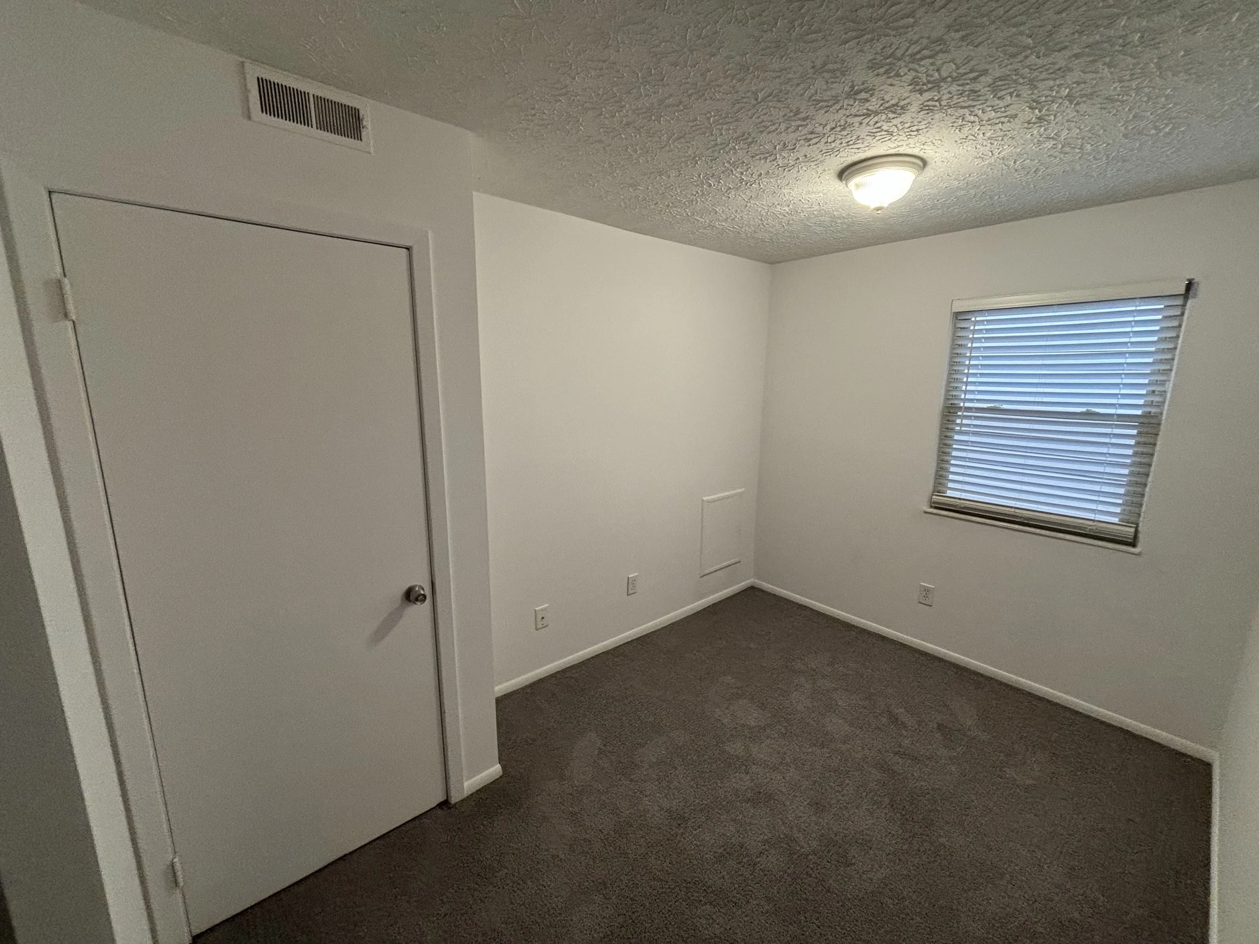 Empty room with white walls, a brown carpet, a window with blinds, a ceiling light, and a closed door.