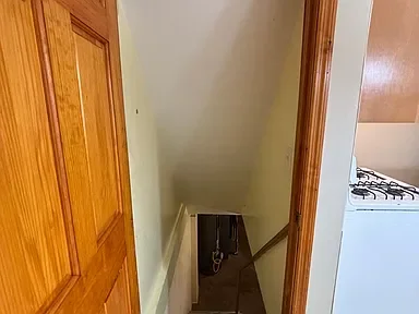 View of a narrow staircase leading downward, partially visible from a doorway in a residential setting.