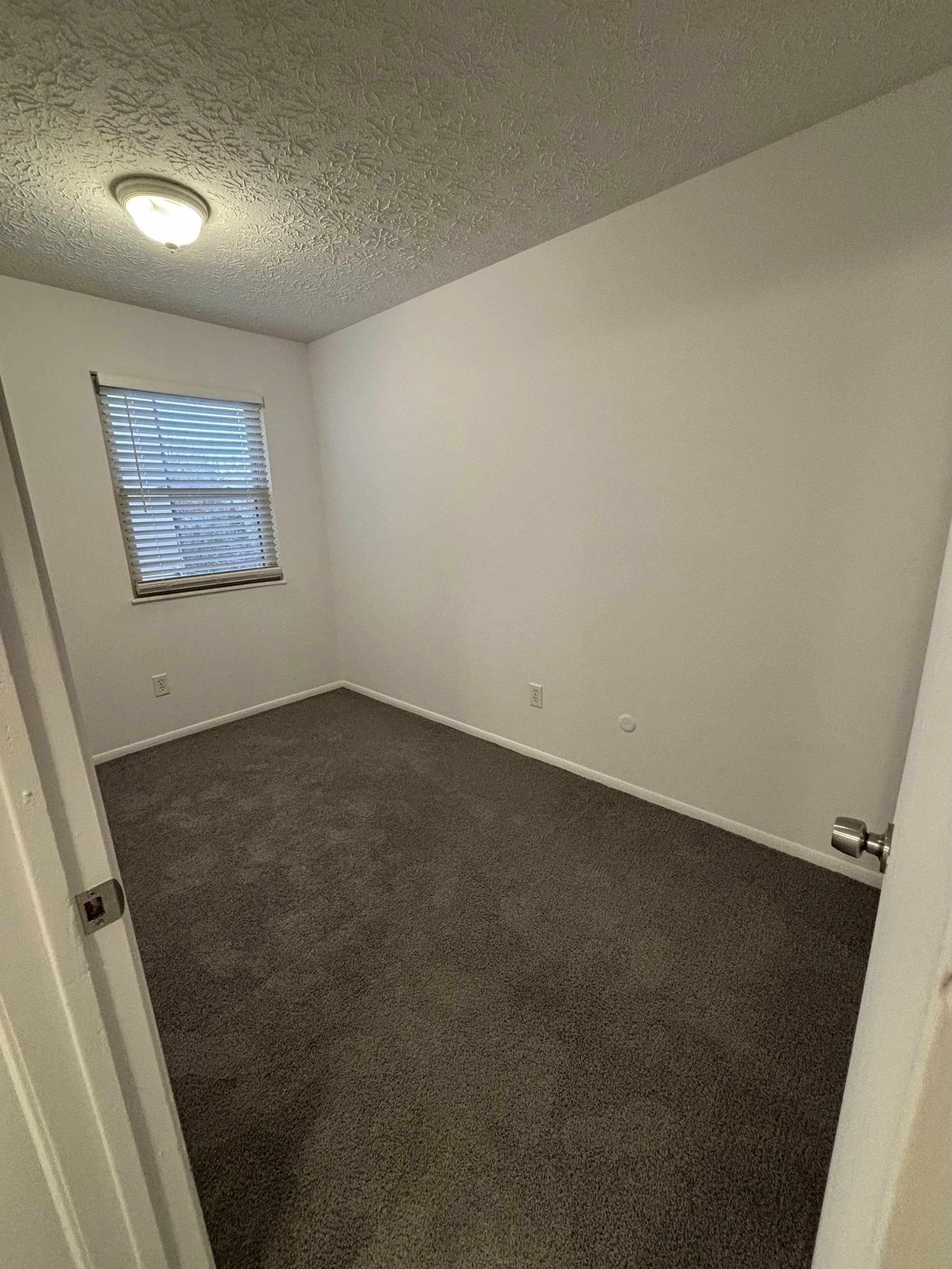 Empty room with beige carpet, white walls, a window with blinds, and a ceiling light fixture.