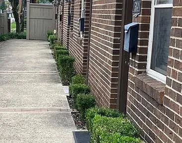 A sidewalk next to a row of brick houses with small green bushes planted along the edge of each house.