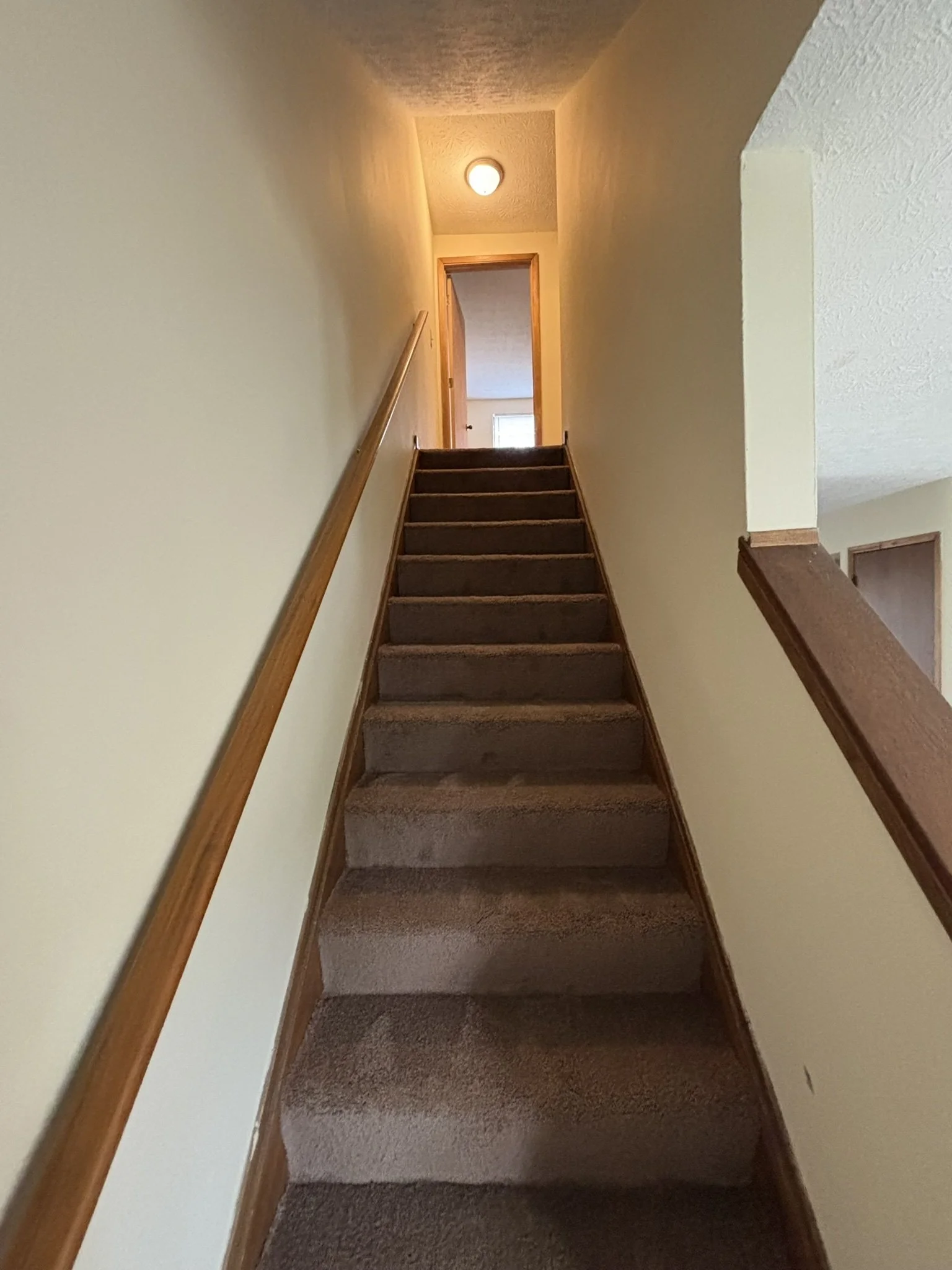 Carpeted staircase leading up to a doorway in a home interior.