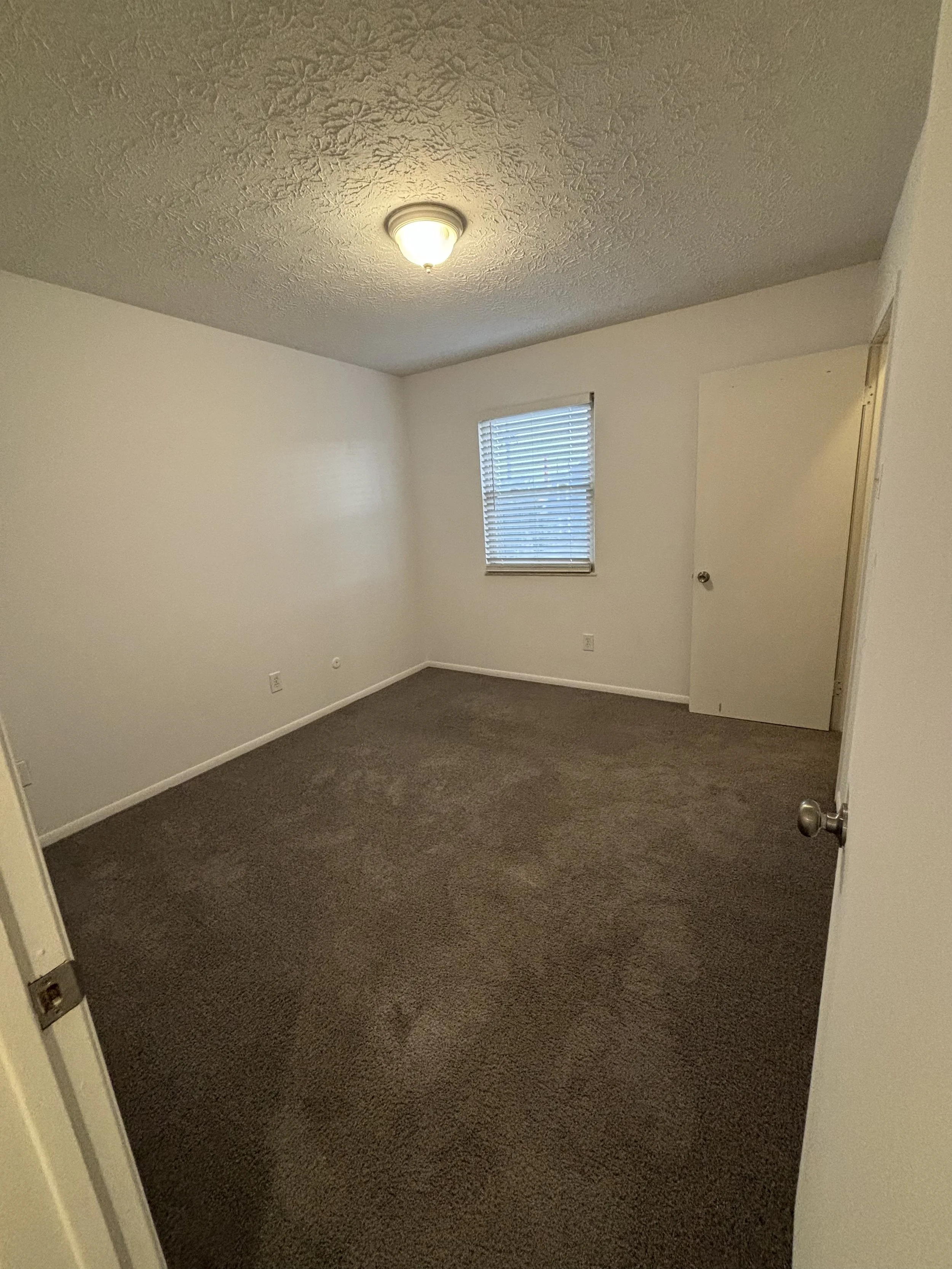 An empty bedroom with white walls, a window with blinds, a door, a ceiling light, and brown carpet flooring.