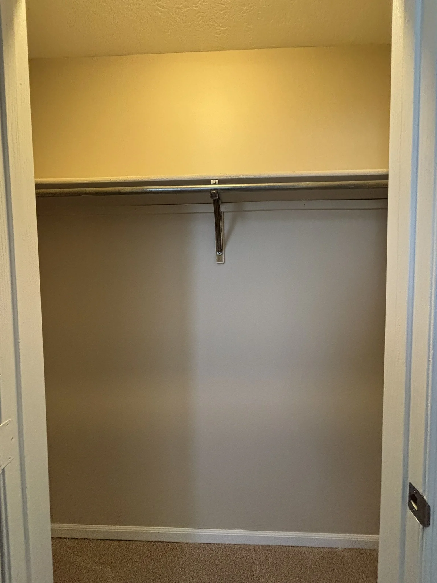 Empty closet with a metal rod for hanging clothes and a shelf above, beige walls, carpeted floor.