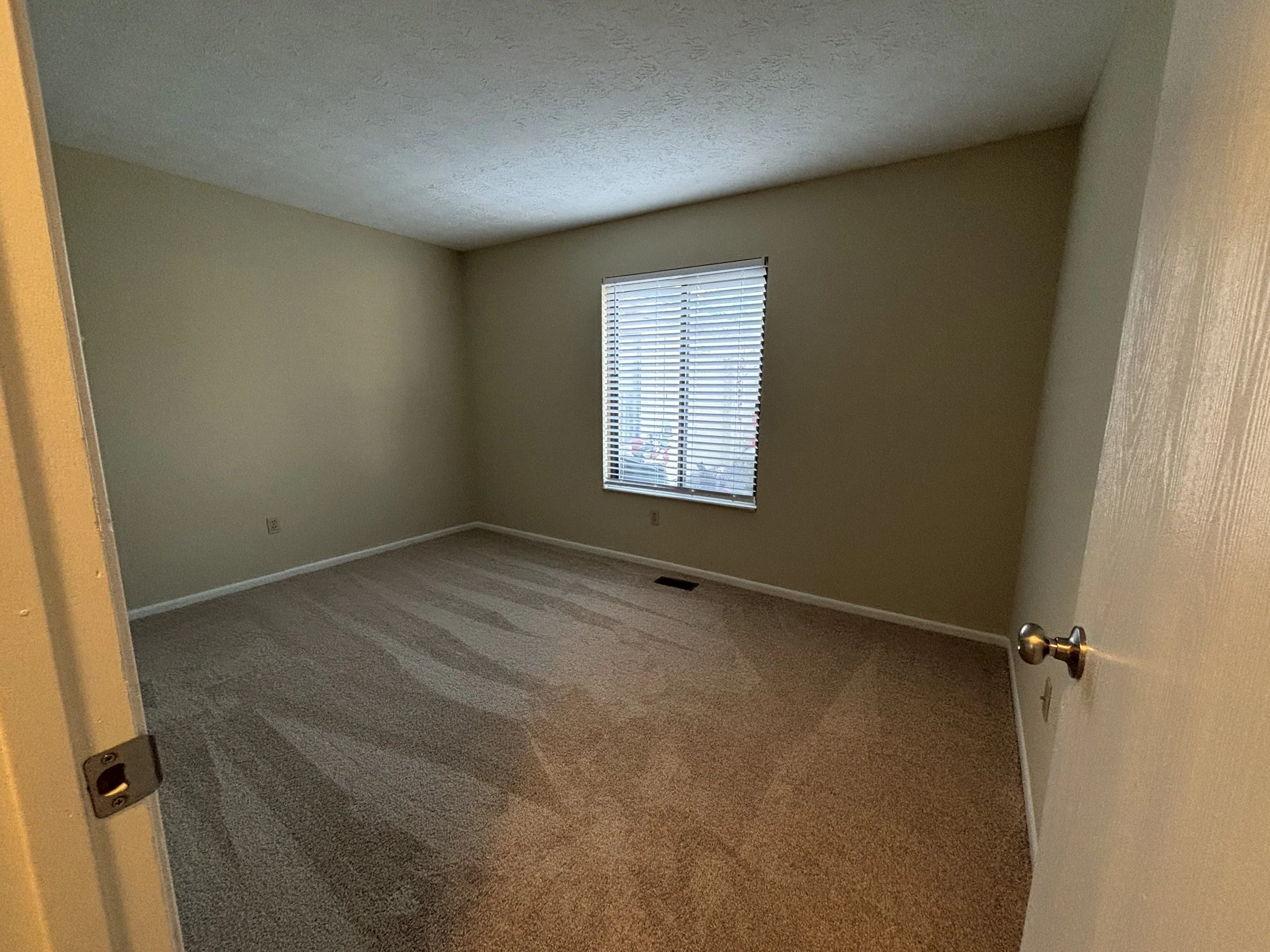 Empty beige carpeted bedroom with a single window with blinds and a closed white door.
