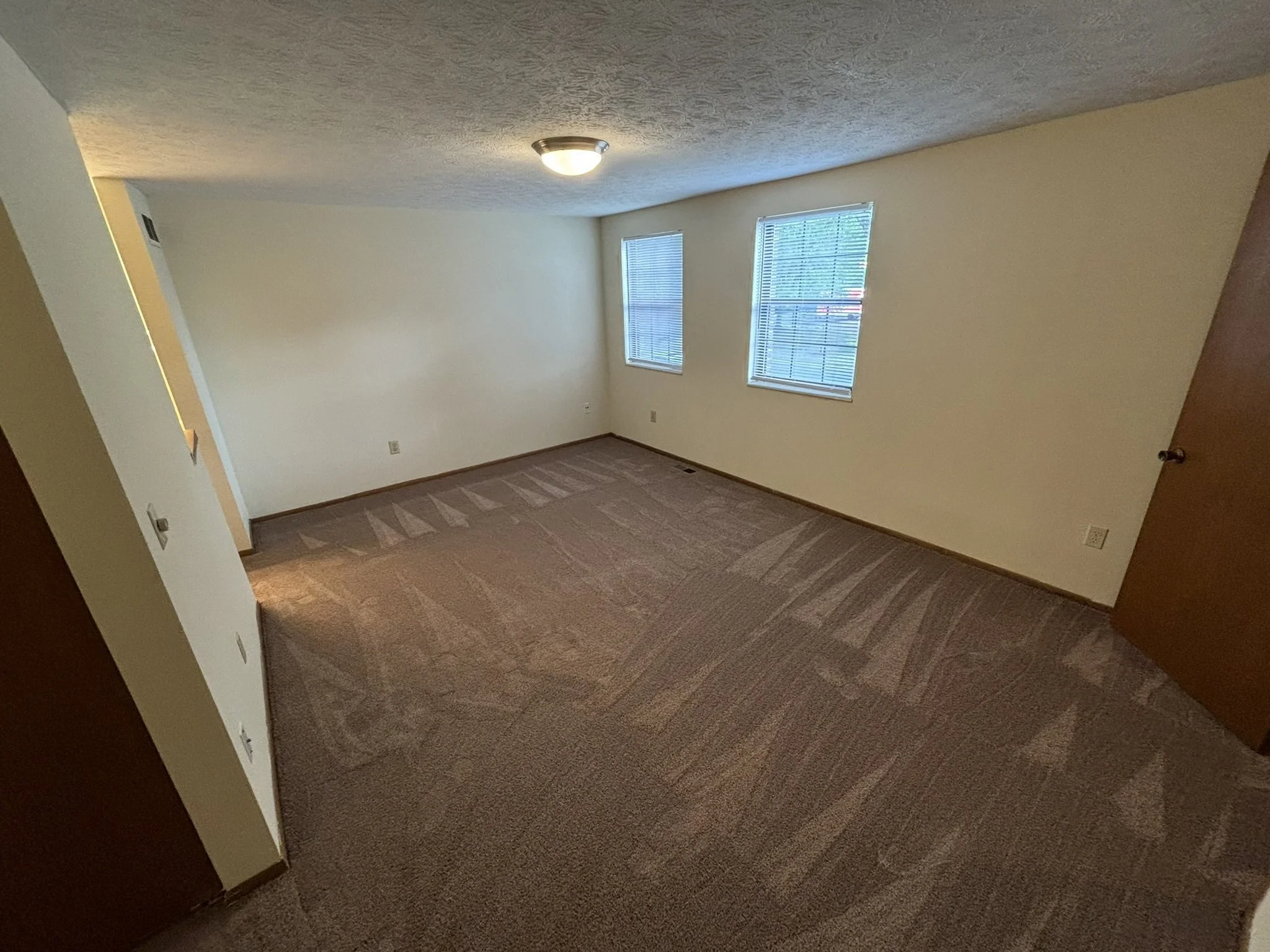 Empty bedroom with beige carpet, white walls, two windows with blinds, and a ceiling light fixture.