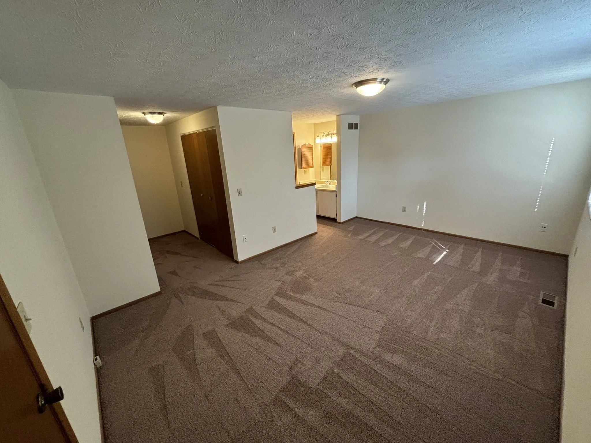 Empty living room area with beige carpet, white walls, and ceiling with a textured finish. There are two ceiling light fixtures, one in the living room and one near a small hallway leading to a closet. Part of a bathroom vanity and mirror are visible