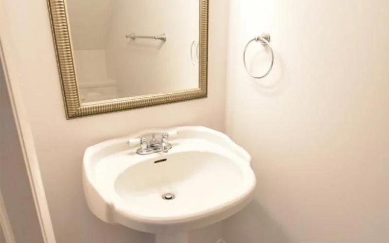Bathroom with a white porcelain sink, a large mirror with a gold frame, and a towel ring on the wall.