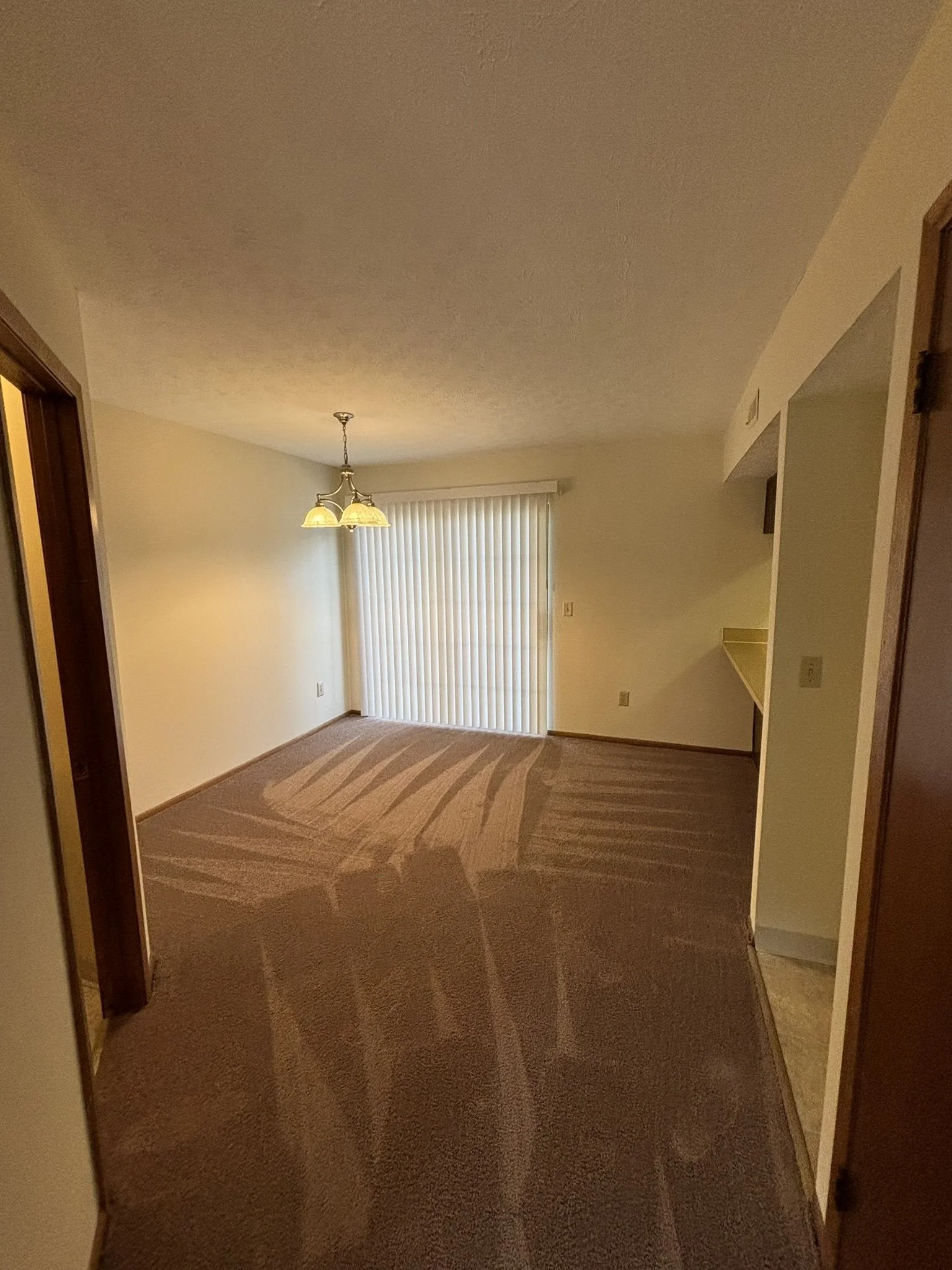 Empty living room with beige carpet, white walls, sliding glass door with vertical blinds, and a ceiling light fixture with three lamps.