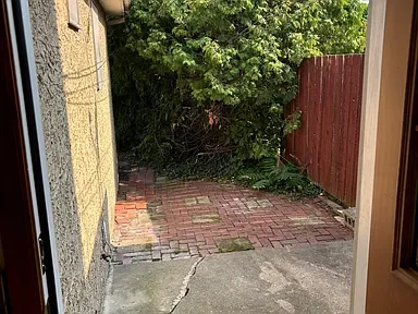 View through a doorway showing a small brick patio with overgrown bushes and a red wooden fence in the background.