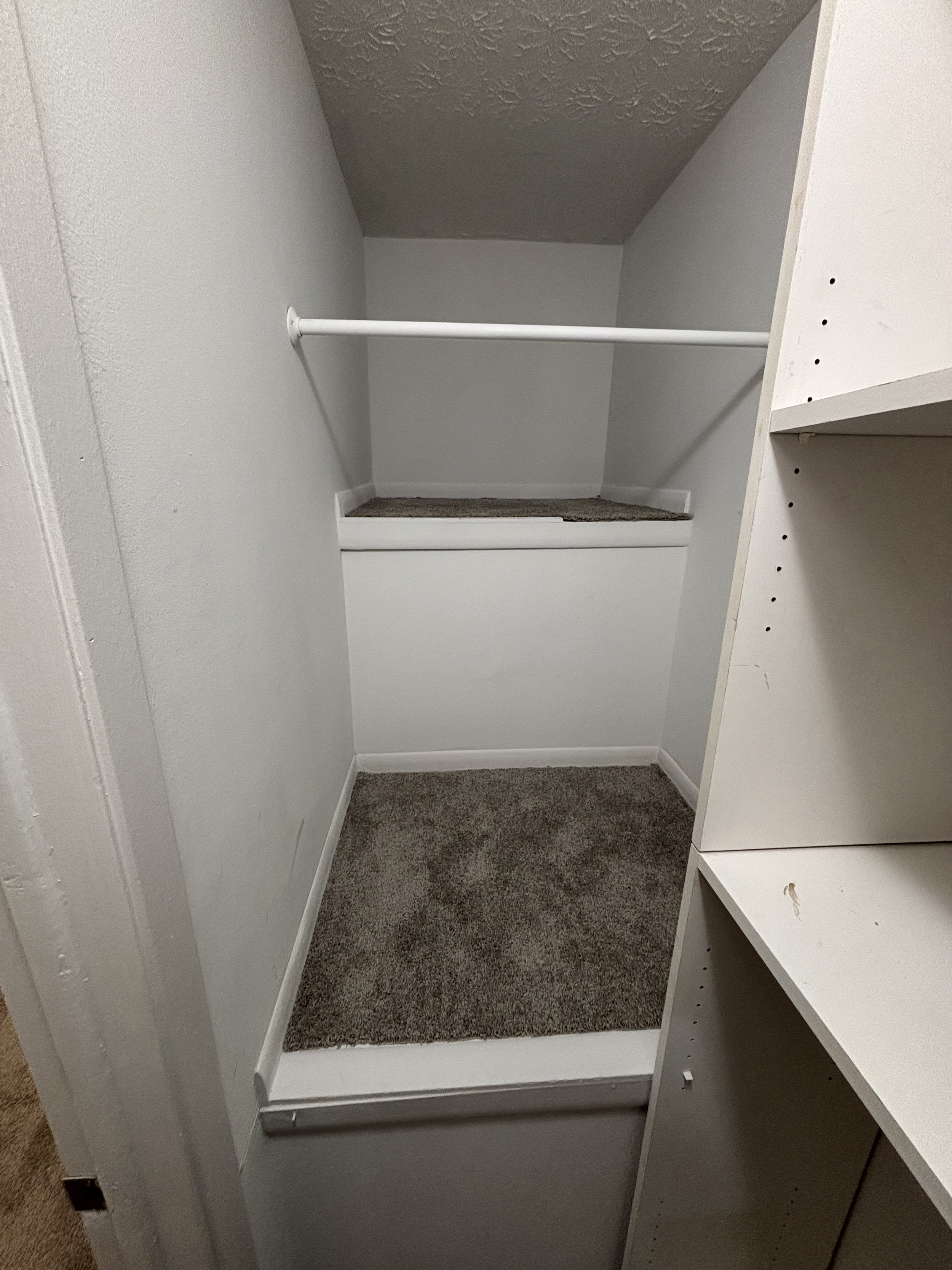 Empty walk-in closet with a white shelf and hanging rod, carpeted floor, and white walls.