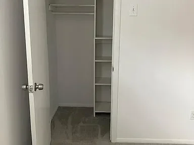 Empty closet with built-in shelves and open door