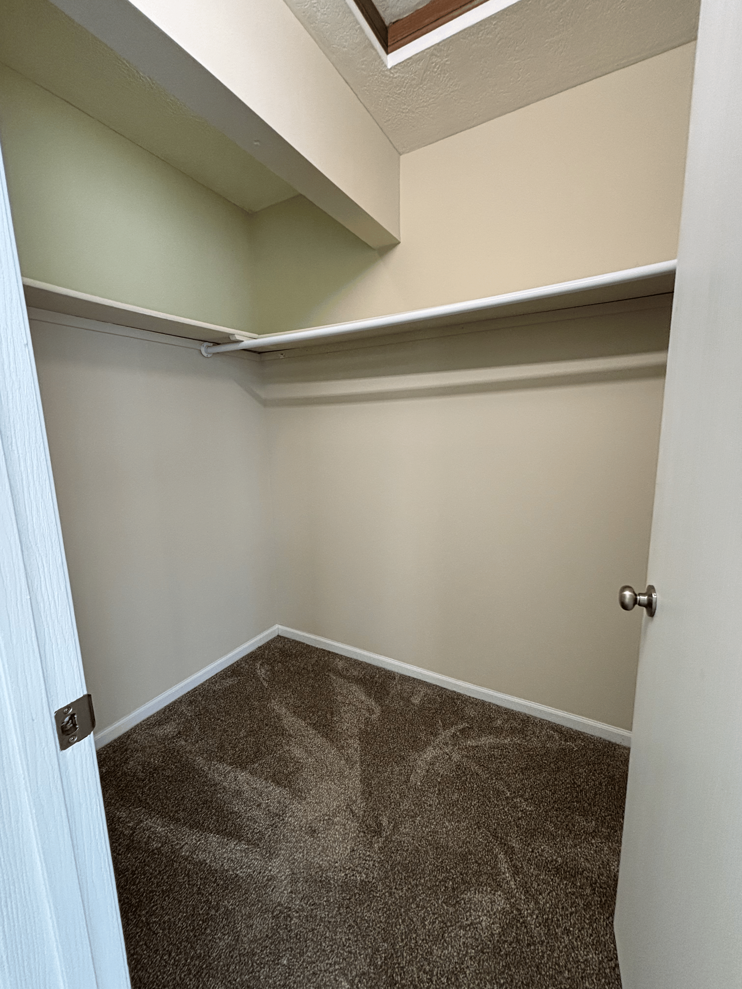 Empty closet with carpet flooring, a single hanging rod, and a shelf above it.