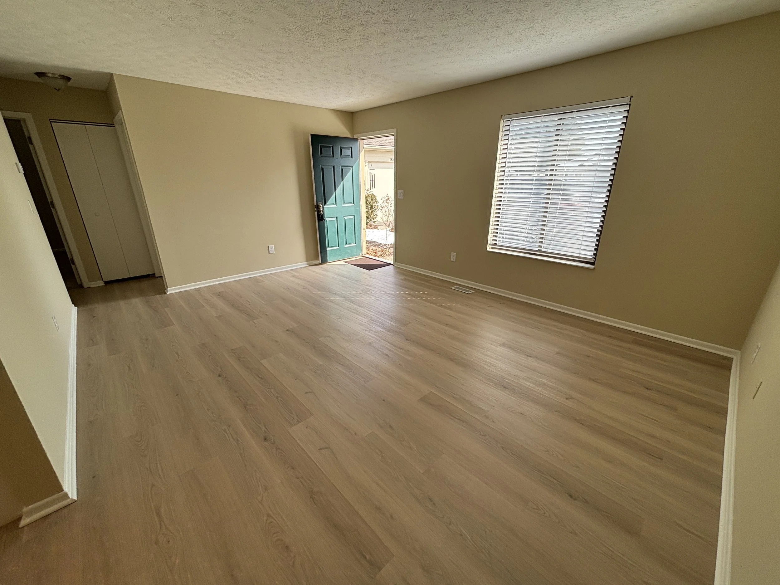 Empty living room with light-colored walls, wooden floor, front door open to outside, and a window with blinds.