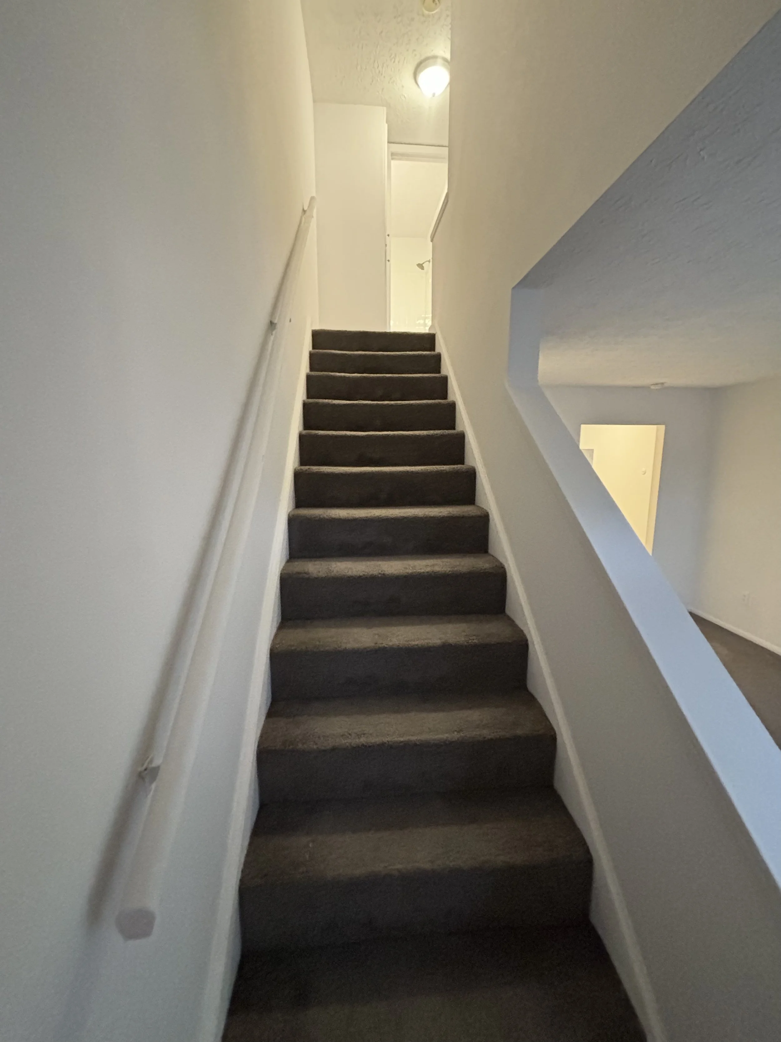 Interior view of a staircase with carpeted steps leading upward, white walls, and a handrail on the left side.