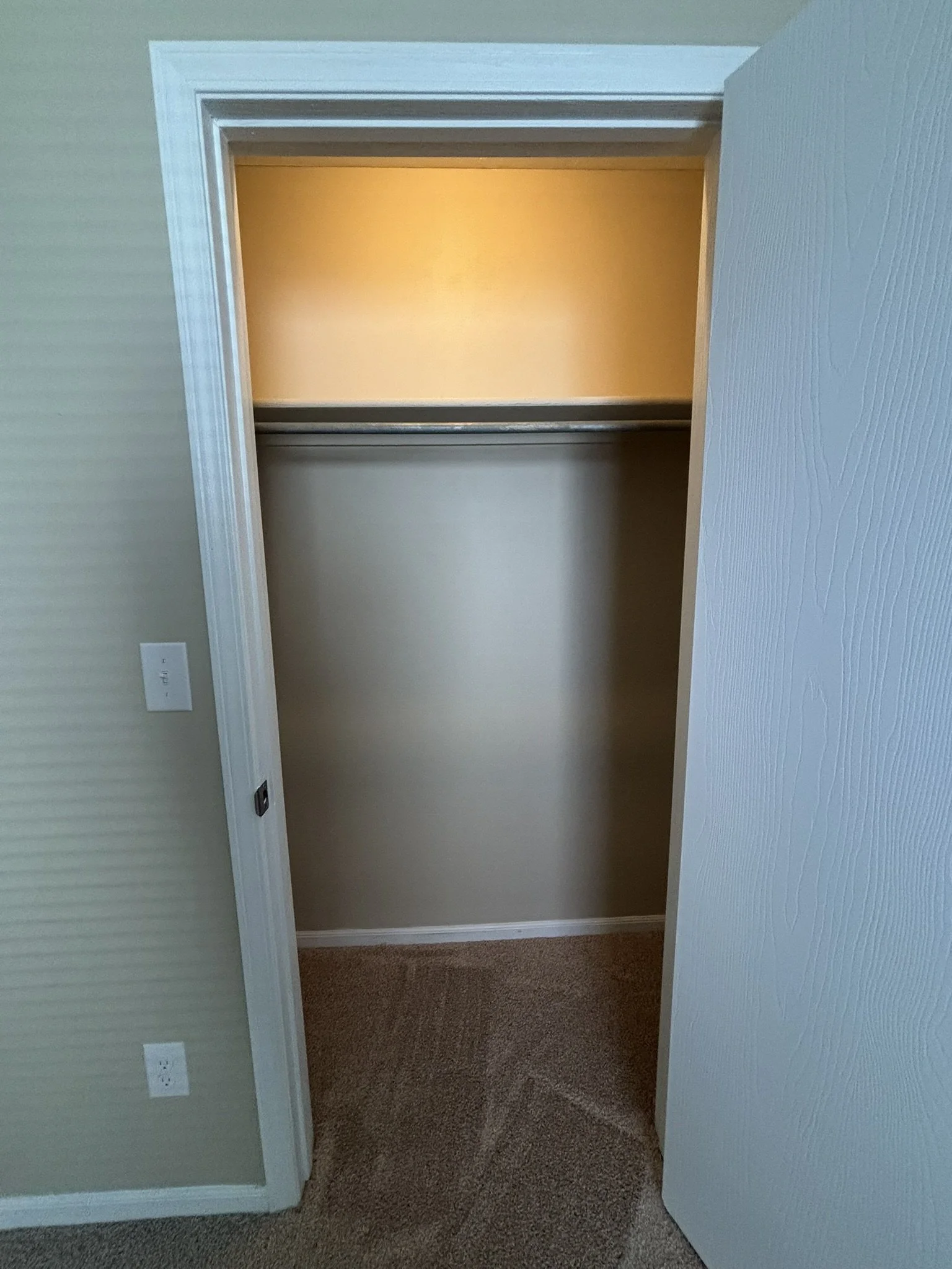 Empty closet with beige walls, white trim, and a carpeted floor.