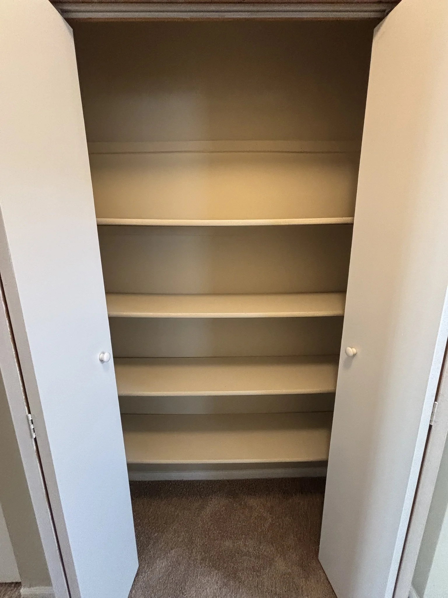 Empty white closet with four shelves and open doors, beige walls, and brown carpeted floor.