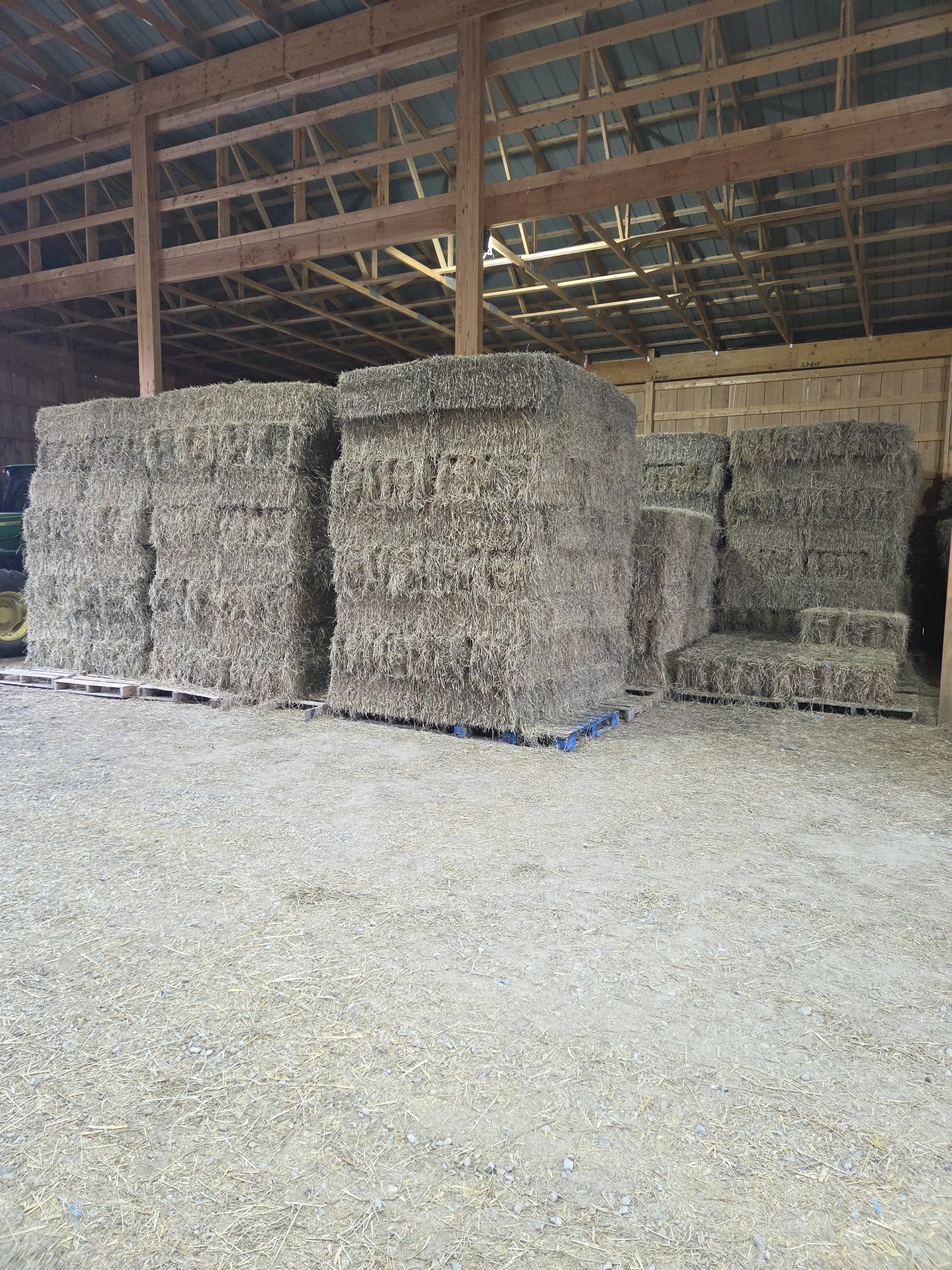 Horse Hay