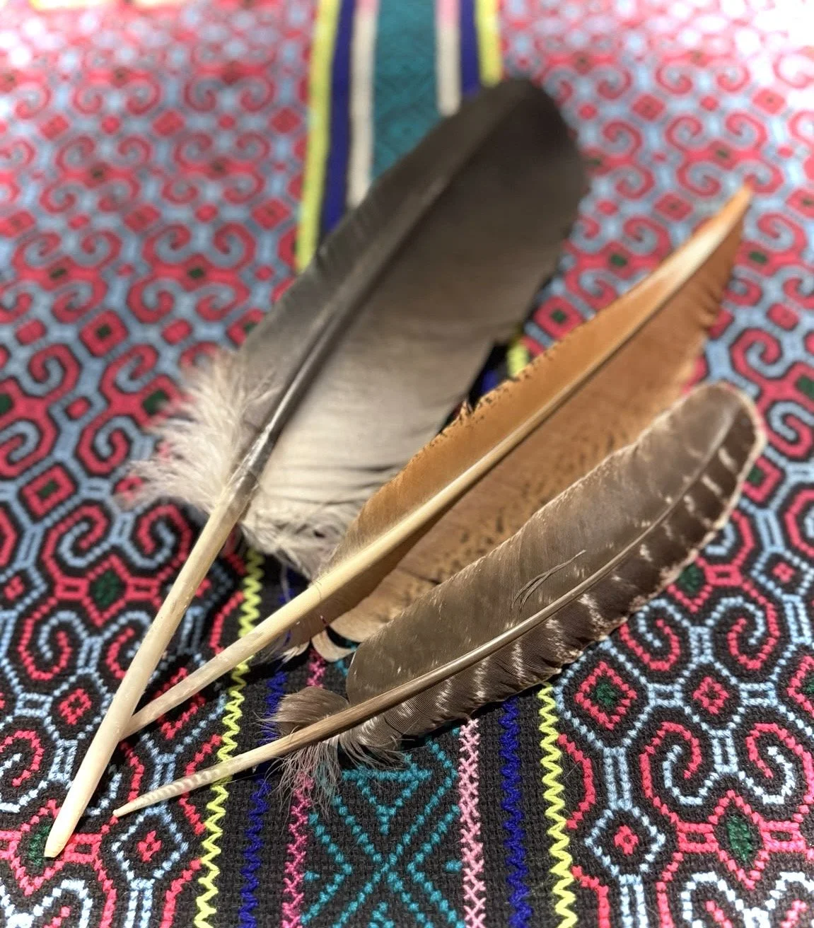 assortedfeathers82.jpg
