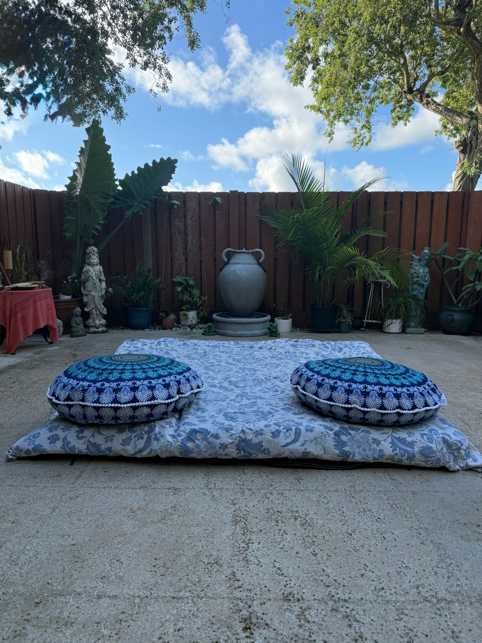 Upcoming Kambo Ceremonies 