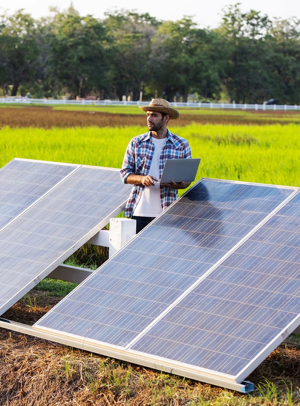 A man wearing a plaid shirt and straw hat is holding a laptop while standing among solar panels in a green field with trees in the background.