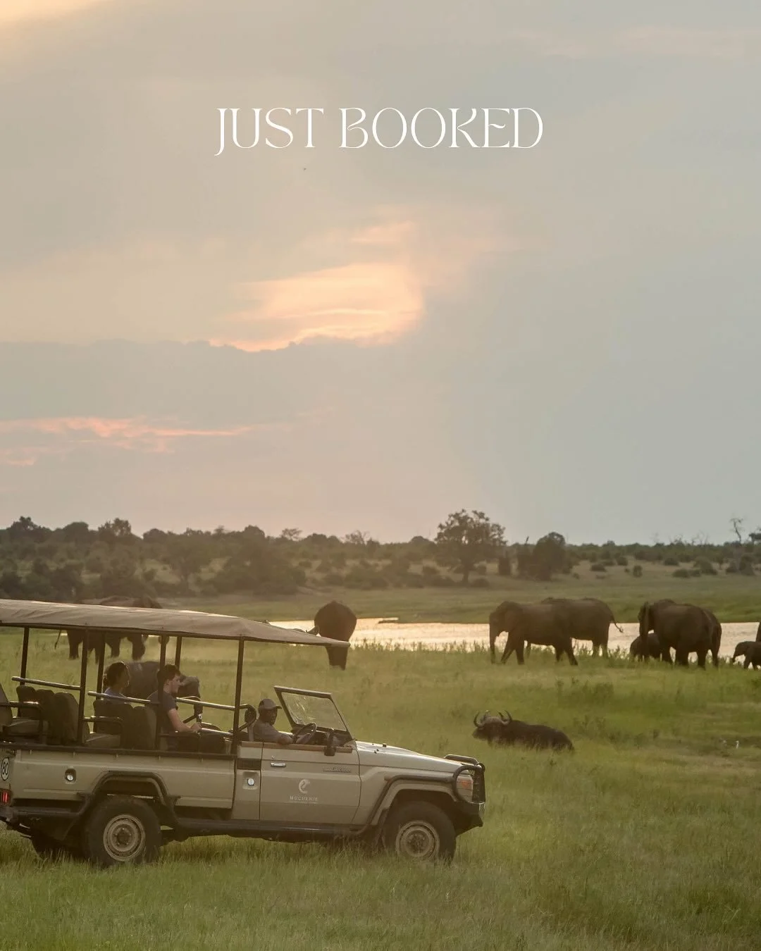 This is how you start forever! We are absolutely ecstatic to share a glimpse of the tailor-made honeymoon we just designed for our incredible clients.

At Voyage and Virtue Travel, we specialize in crafting journeys that are as unique as your love st