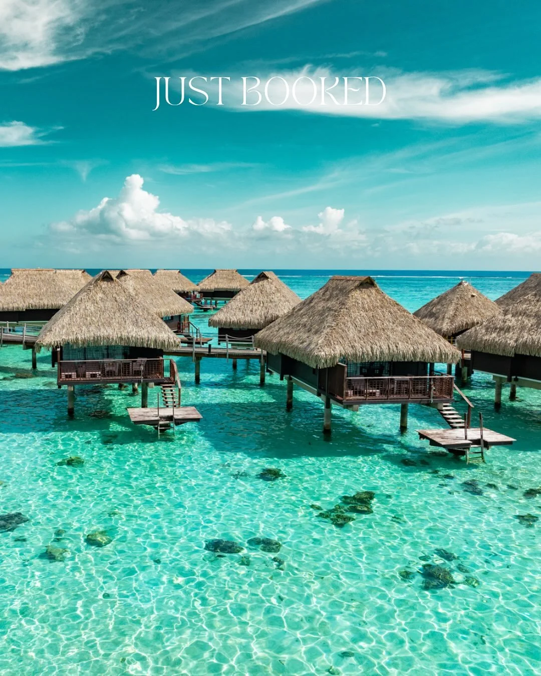 Another one of our incredible couples is headed off on a stunning 10 night Honeymoon to French Polynesia. Luxury at every turn and a fully customized itinerary with private boating, pearl diving and cultural tours.

We know this will be a trip of a l