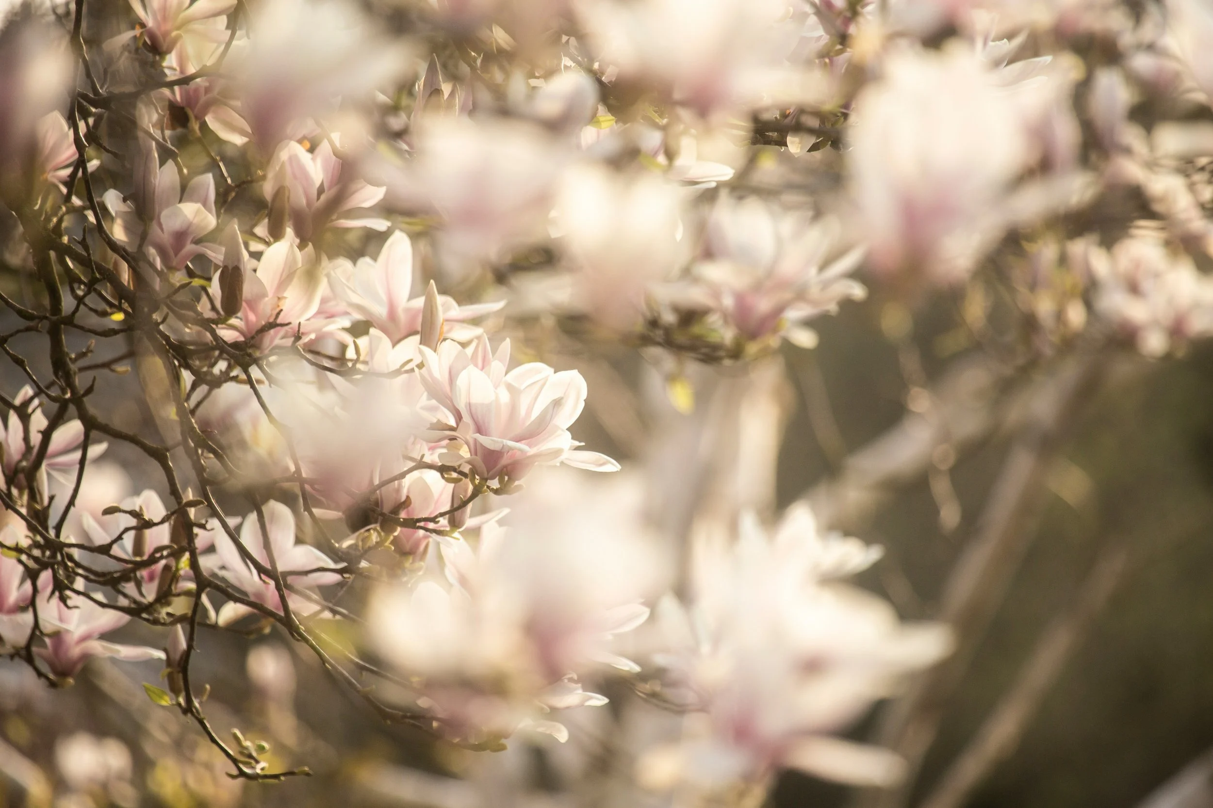 Spring Seminar