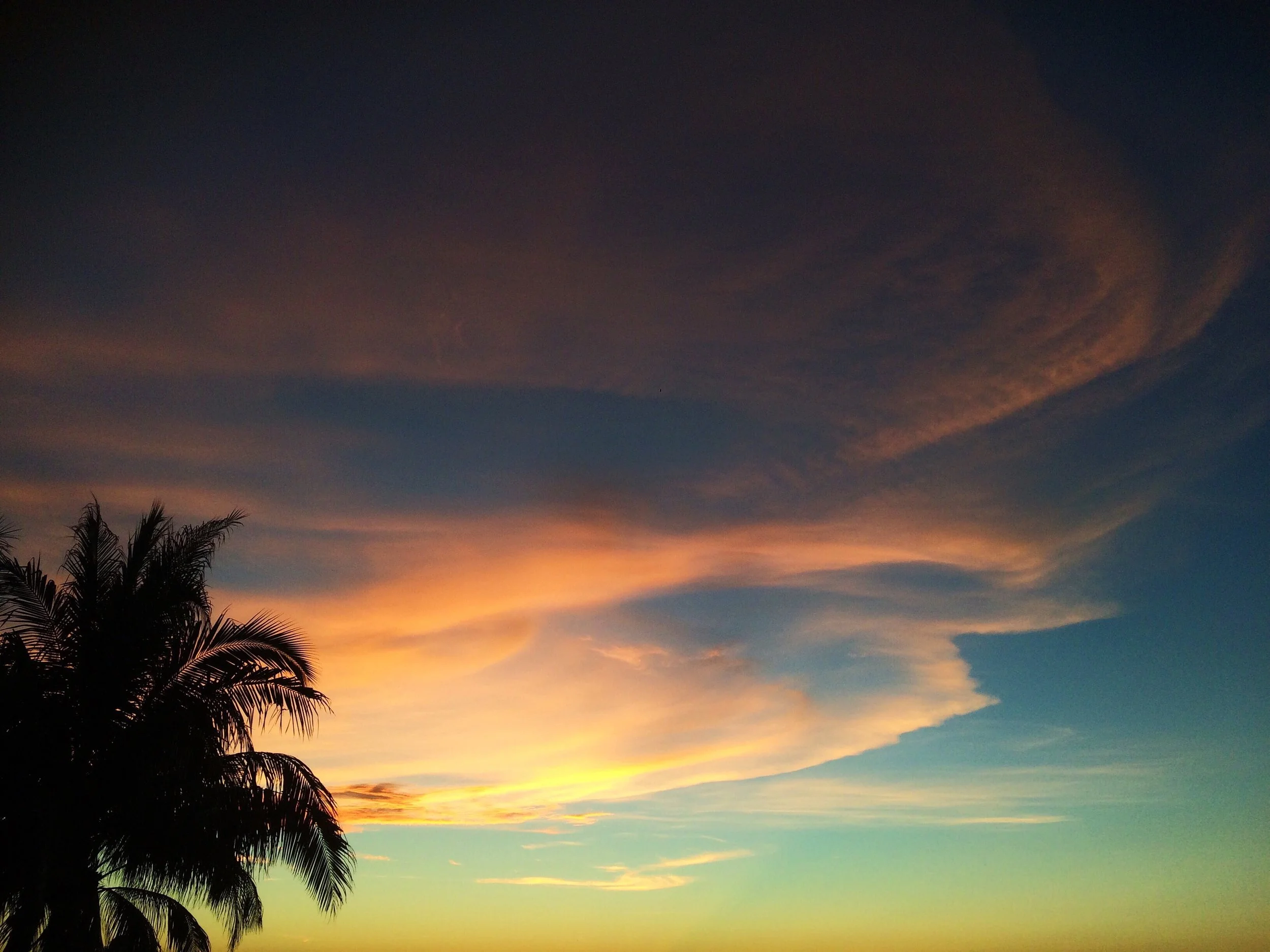 E5DD6104-58CF-4664-BB9D-6D19253A0739.jpeg
