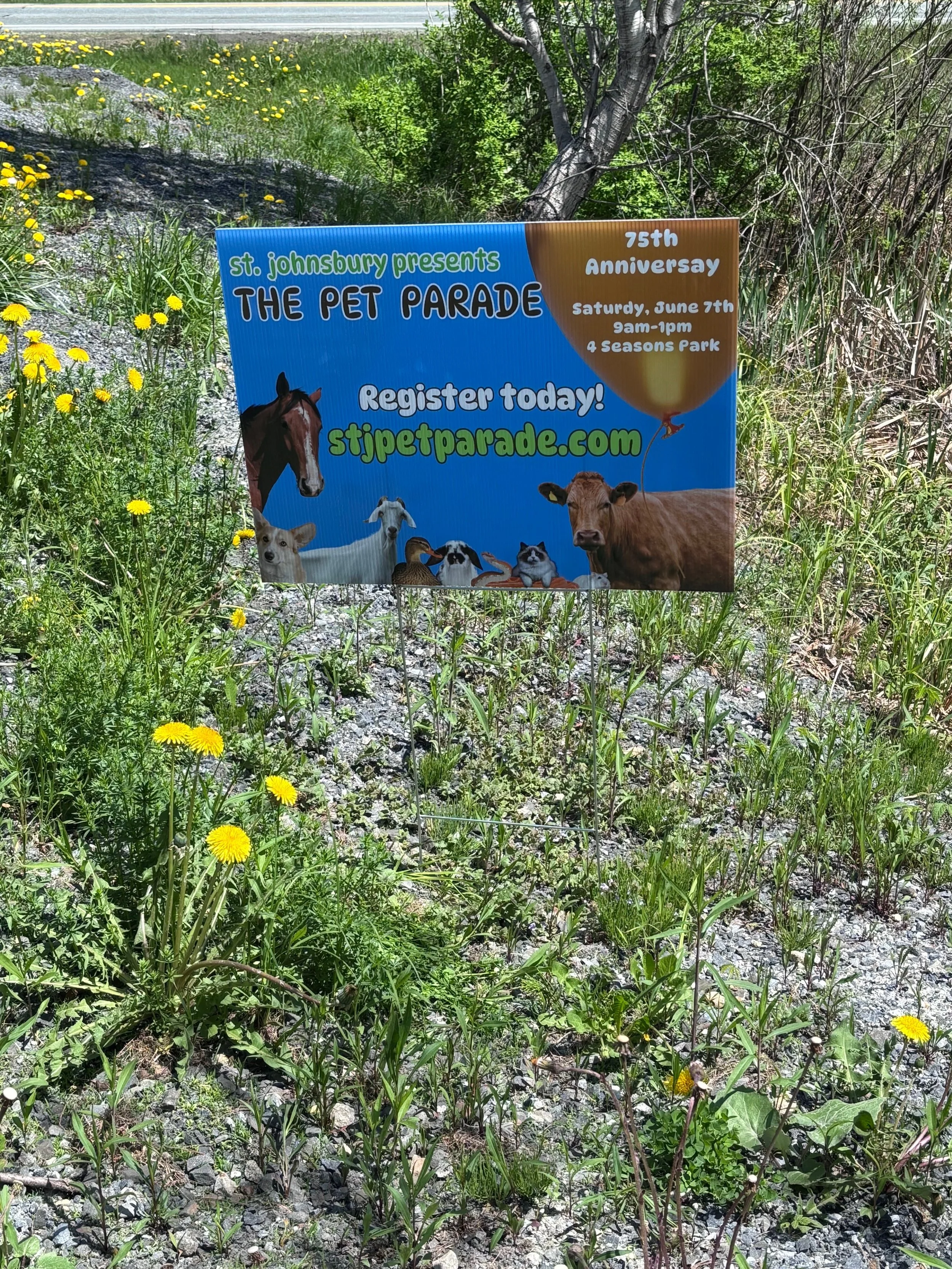 Pet Parade yard sign1.jpg