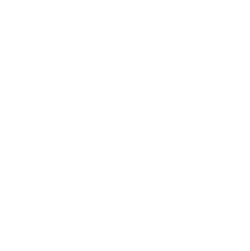 The Press Burger