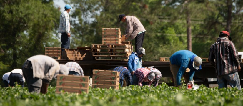Labor Trafficking is a Huge Issue in the US; One NC Lawyer is Working to Combat That