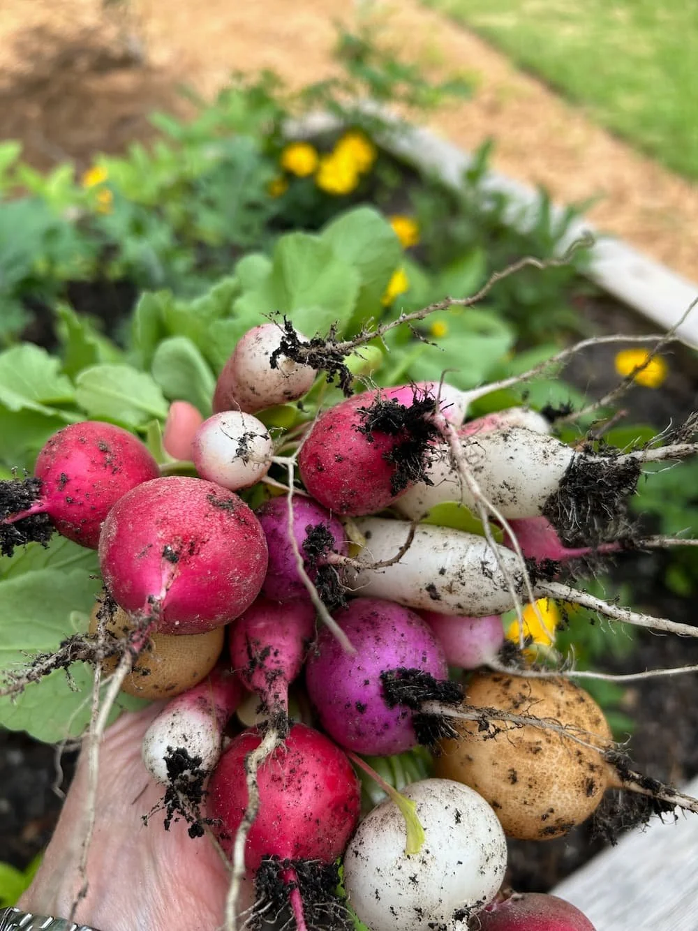 Planting a Spring Garden