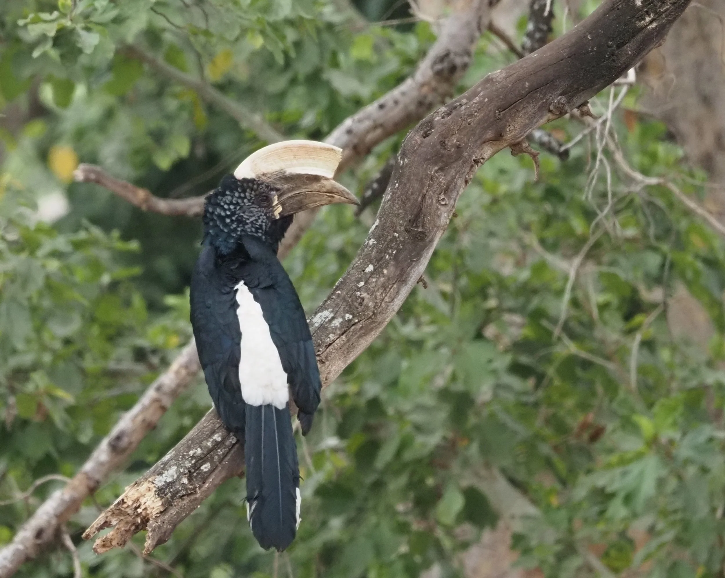 Lake Manyara National Park