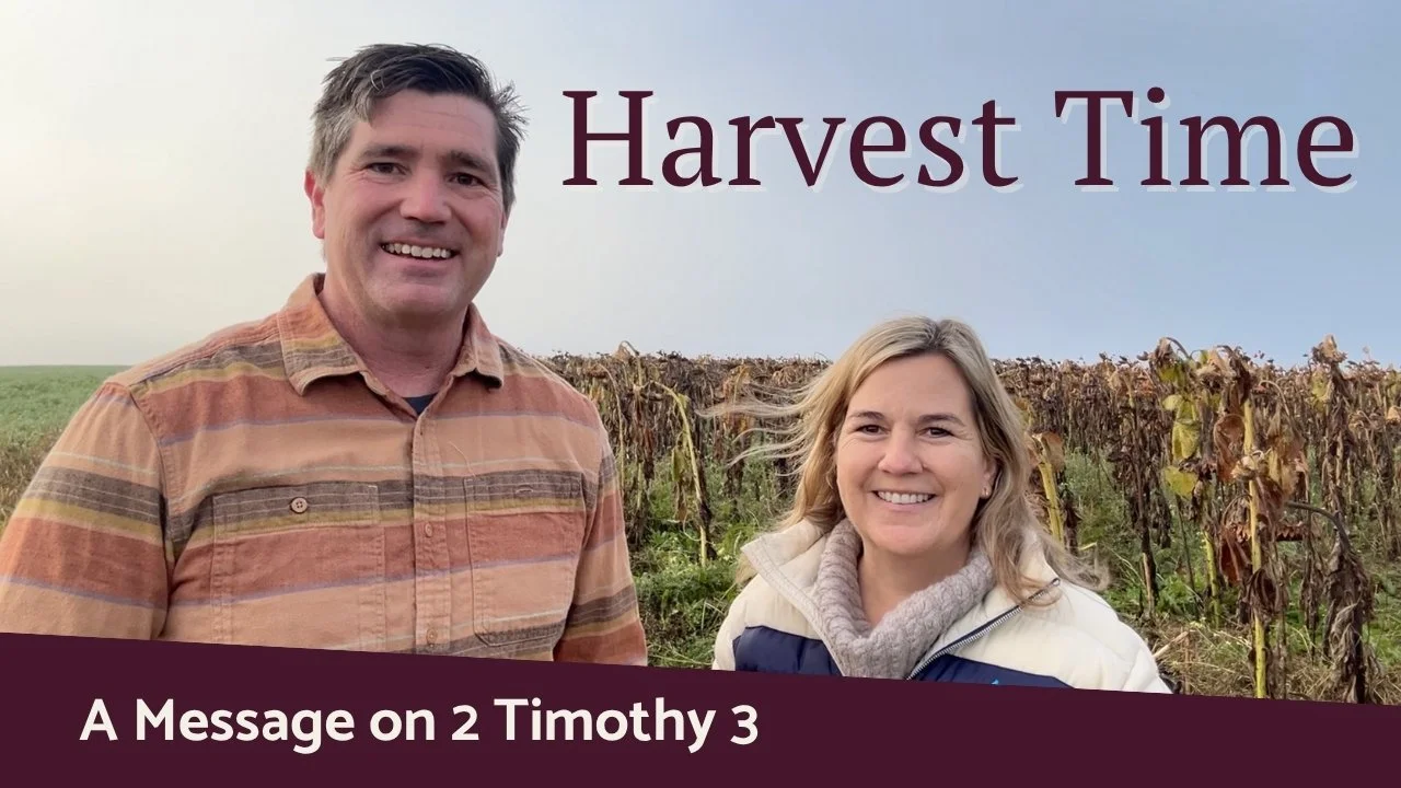 Harvest Time