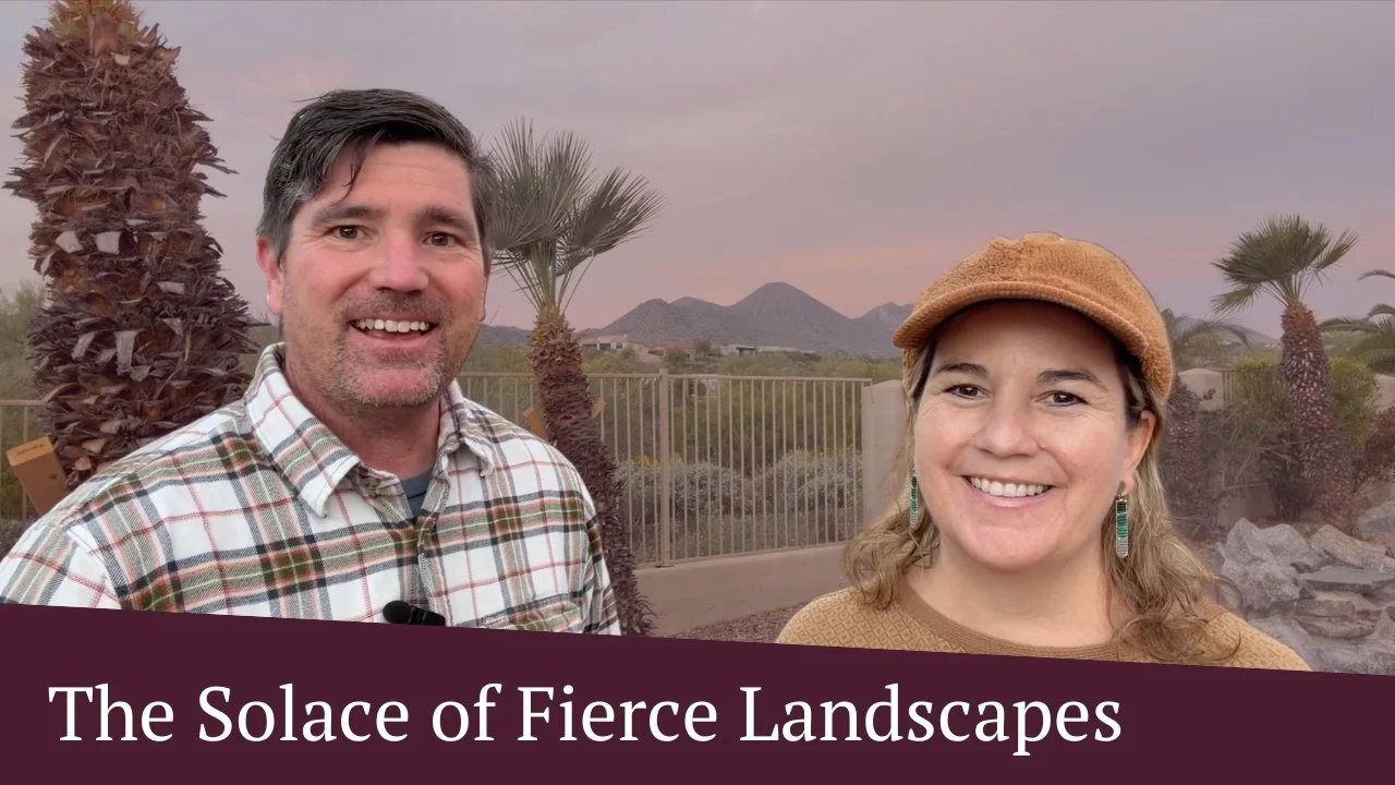 The Solace of Fierce Landscapes