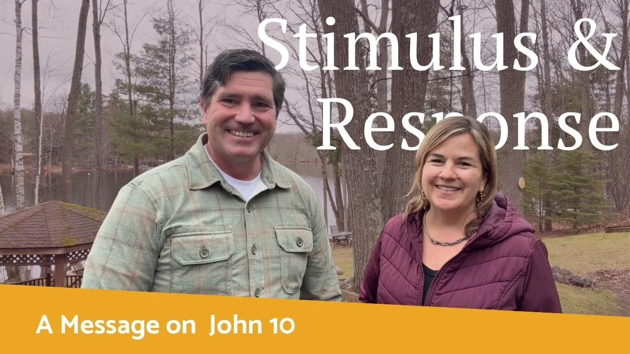 Stimulus &amp; Response