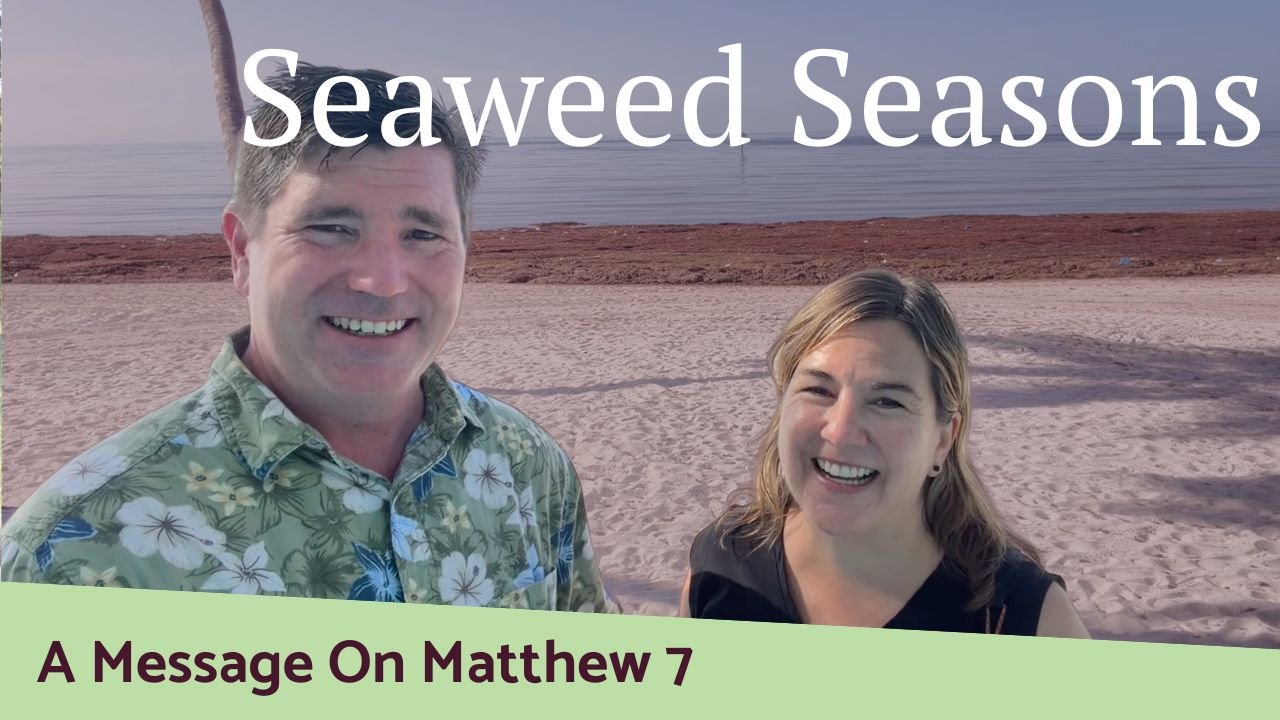 Seaweed Seasons