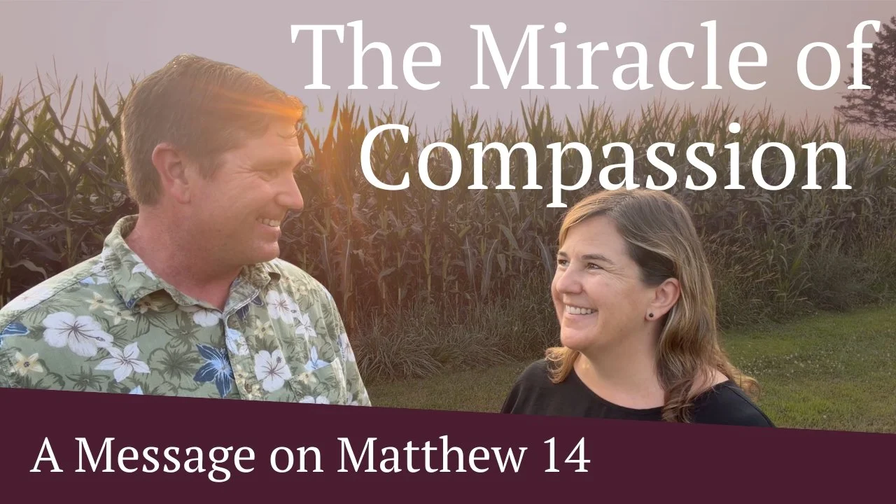 The Miracle Of Compassion