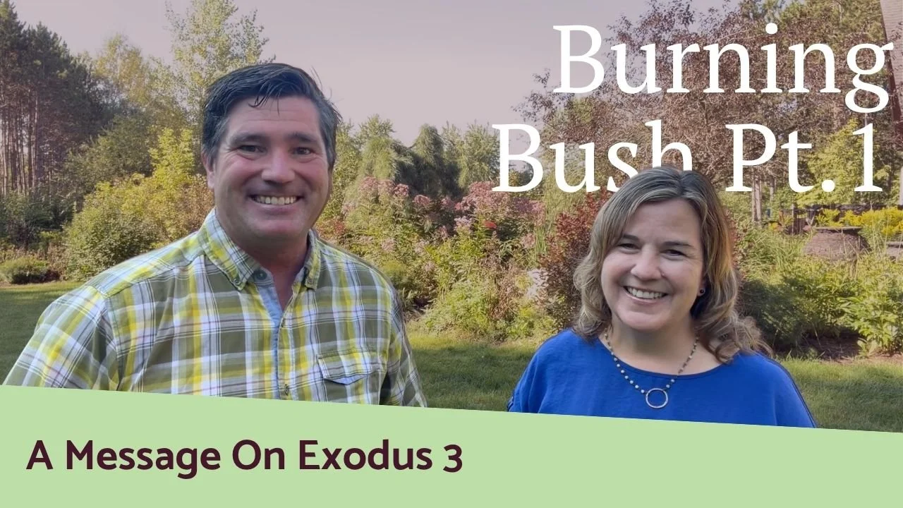 Burning Bush Pt. 1