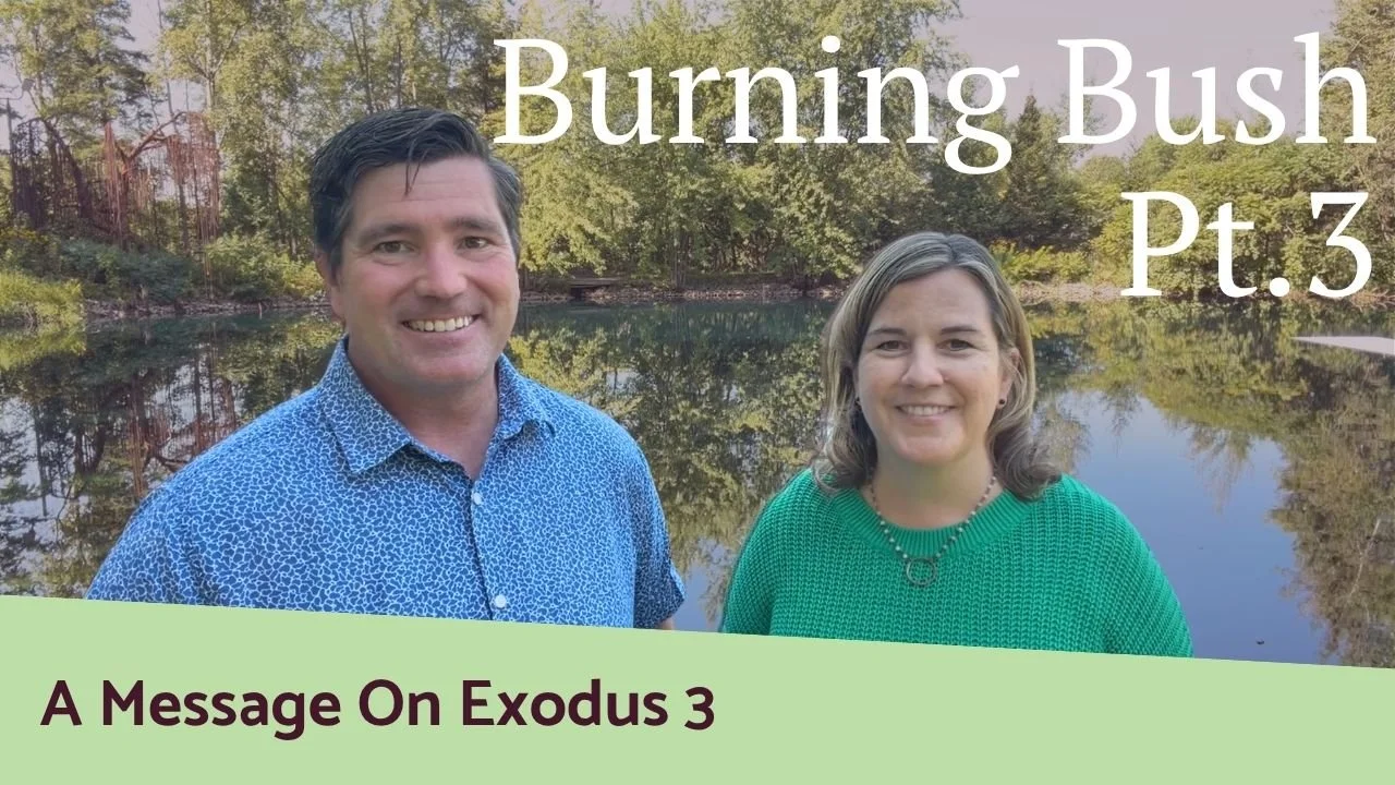 Burning Bush Pt. 3