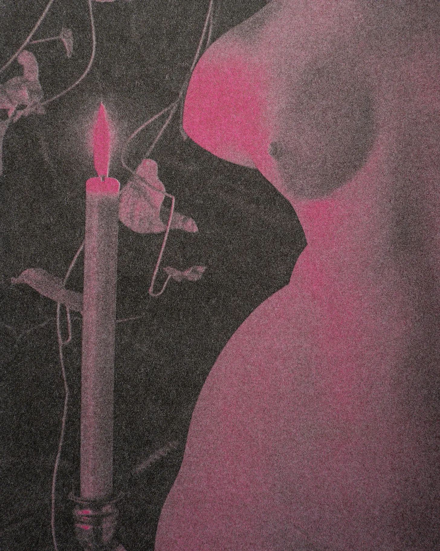 The Order of the Last Light