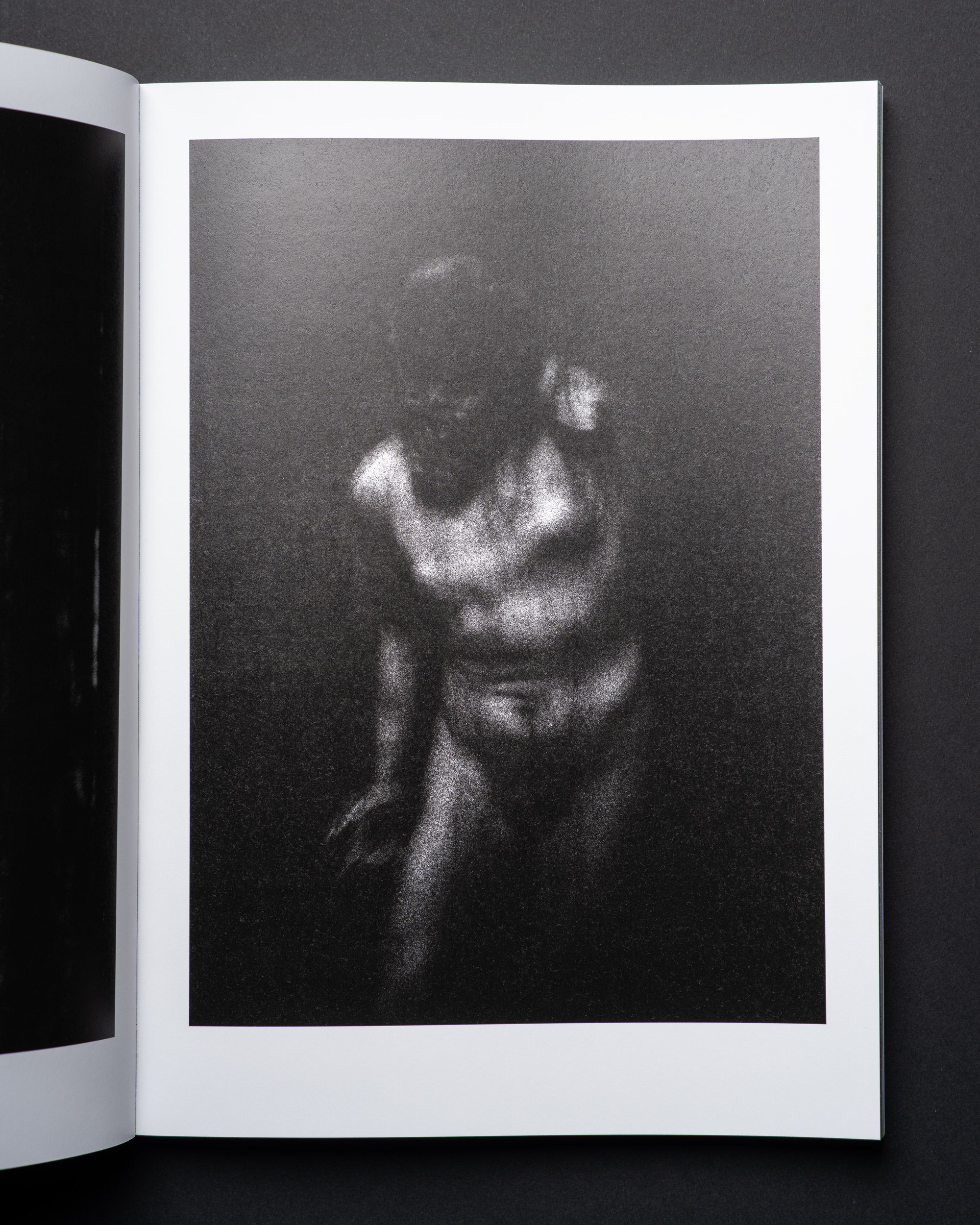 Bewilderment - Vanessa Vilar  (16).jpg