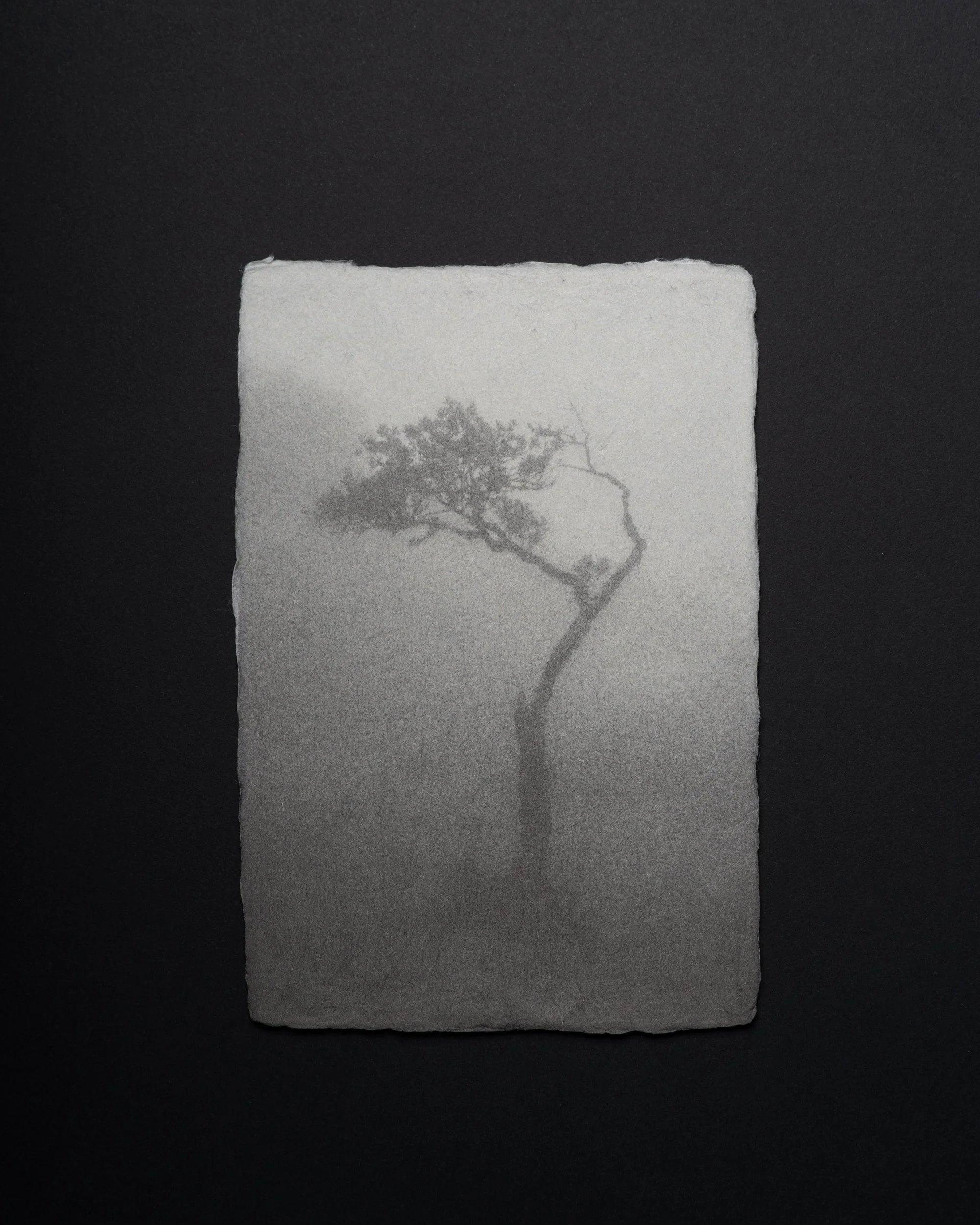 Printing Allows Memory