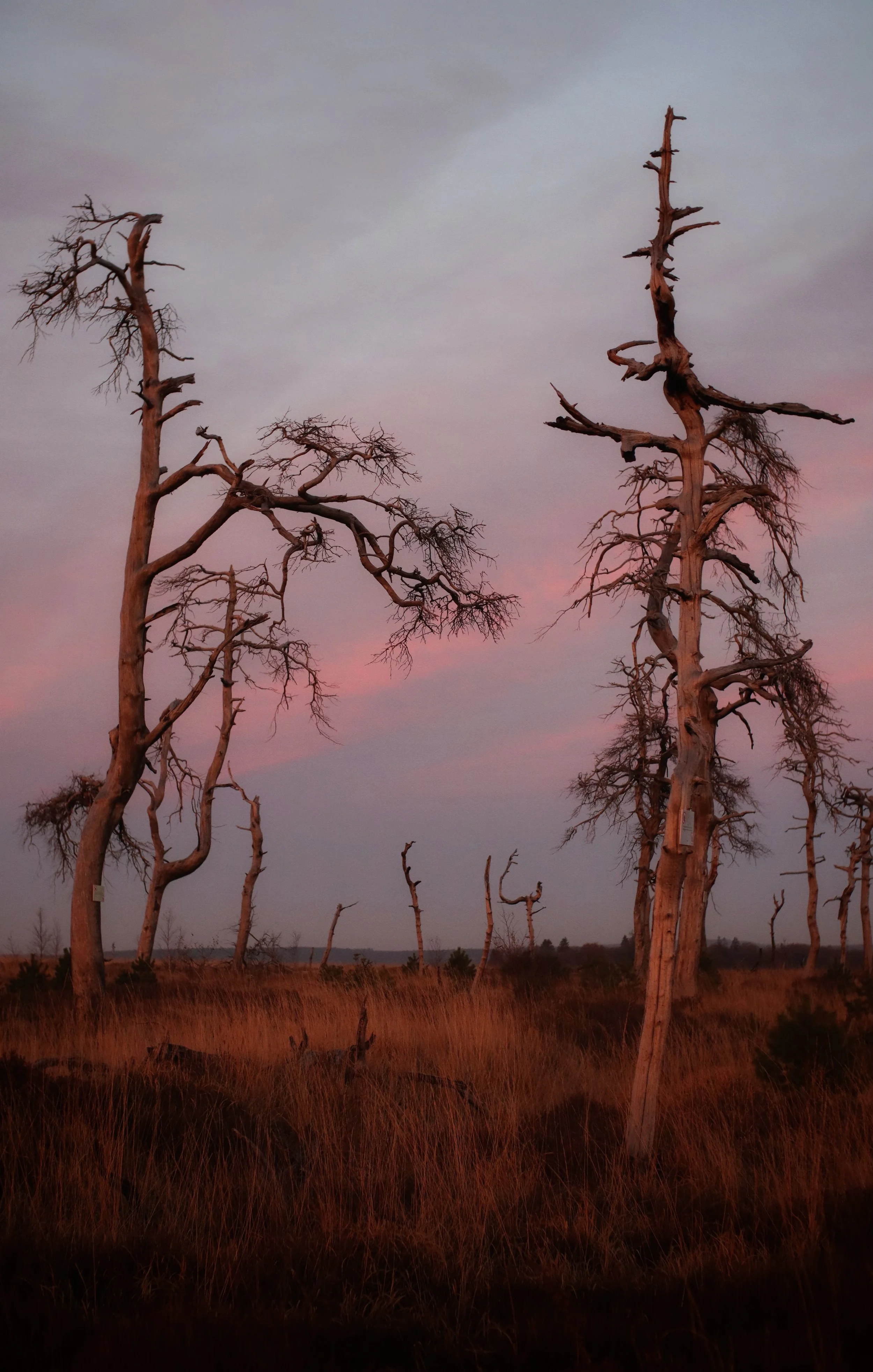 VVilar - Sunsetinparadise.jpeg