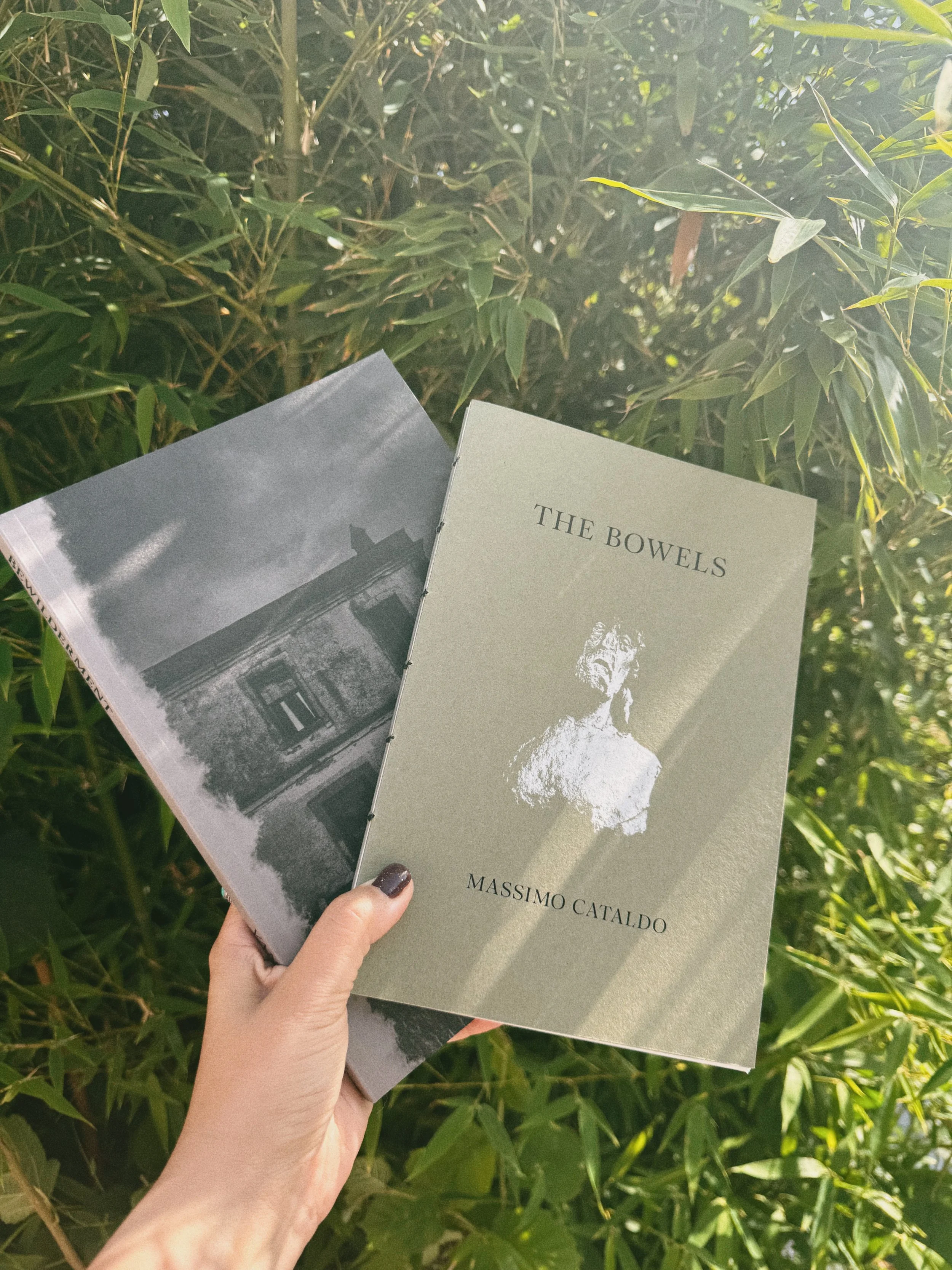 Bundle 2 Photos Books