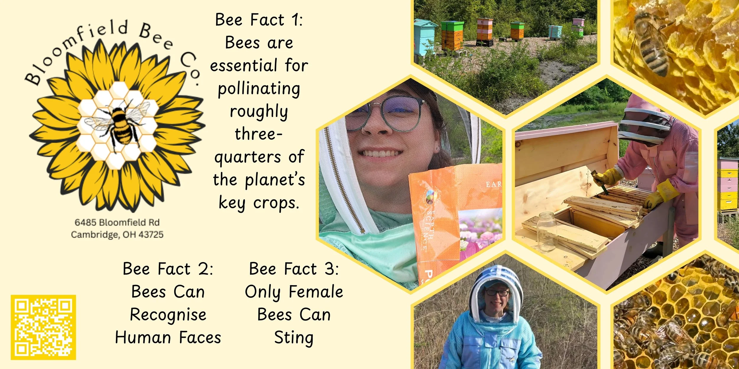 Bloomfield Bee Co.  Banner.jpg